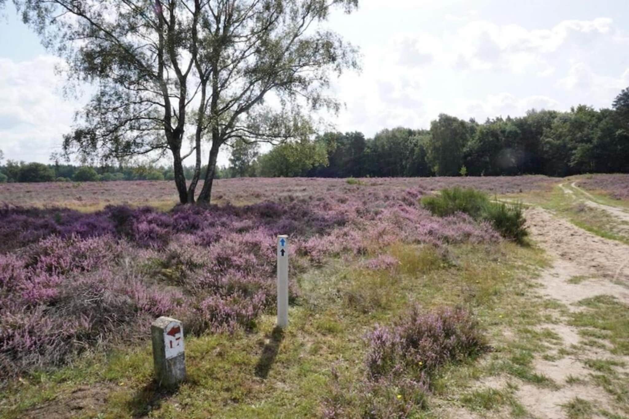 Vakantiepark Hellendoorn 3-Gebieden zomer 5km