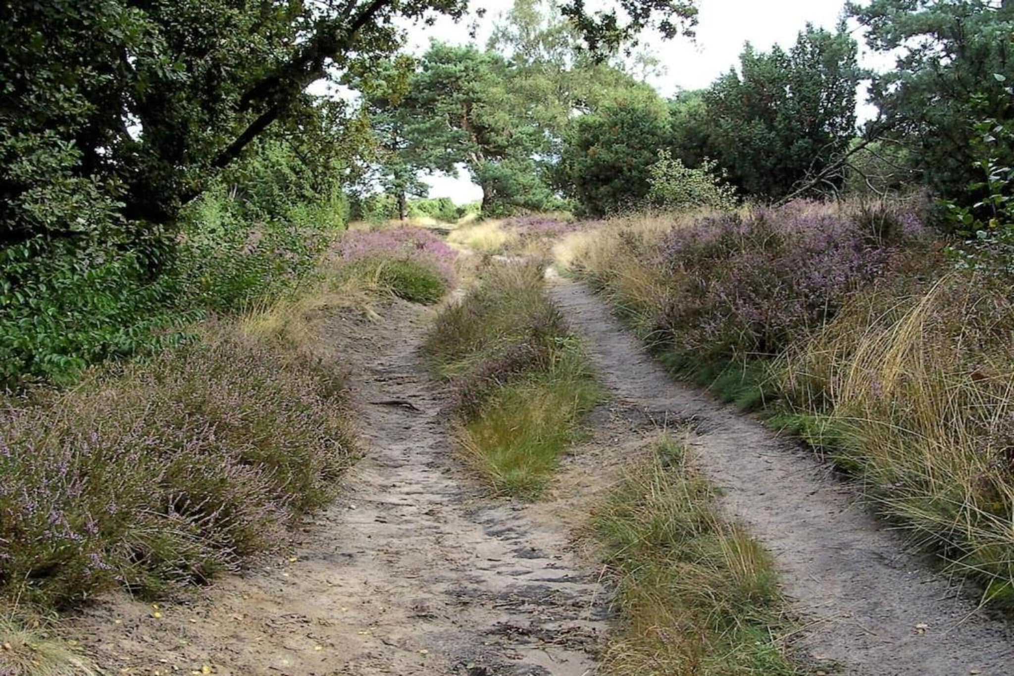 Vakantiepark Hellendoorn 3-Gebieden zomer 5km
