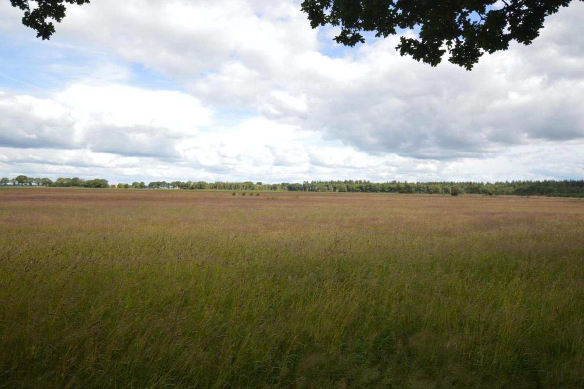 Vakantiepark Hellendoorn 3-Gebieden zomer 5km
