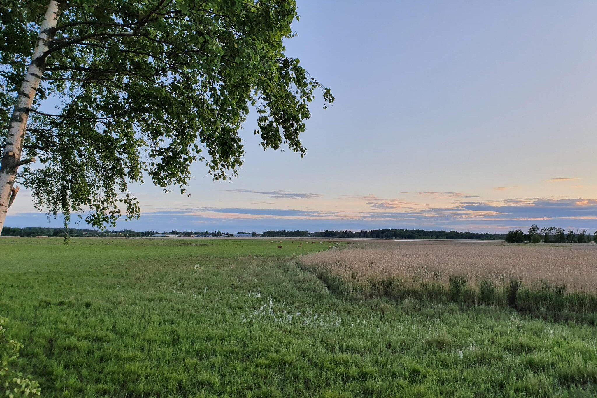 6 persoons vakantie huis in HAMMARÖ-By Traum - Niet-getagd