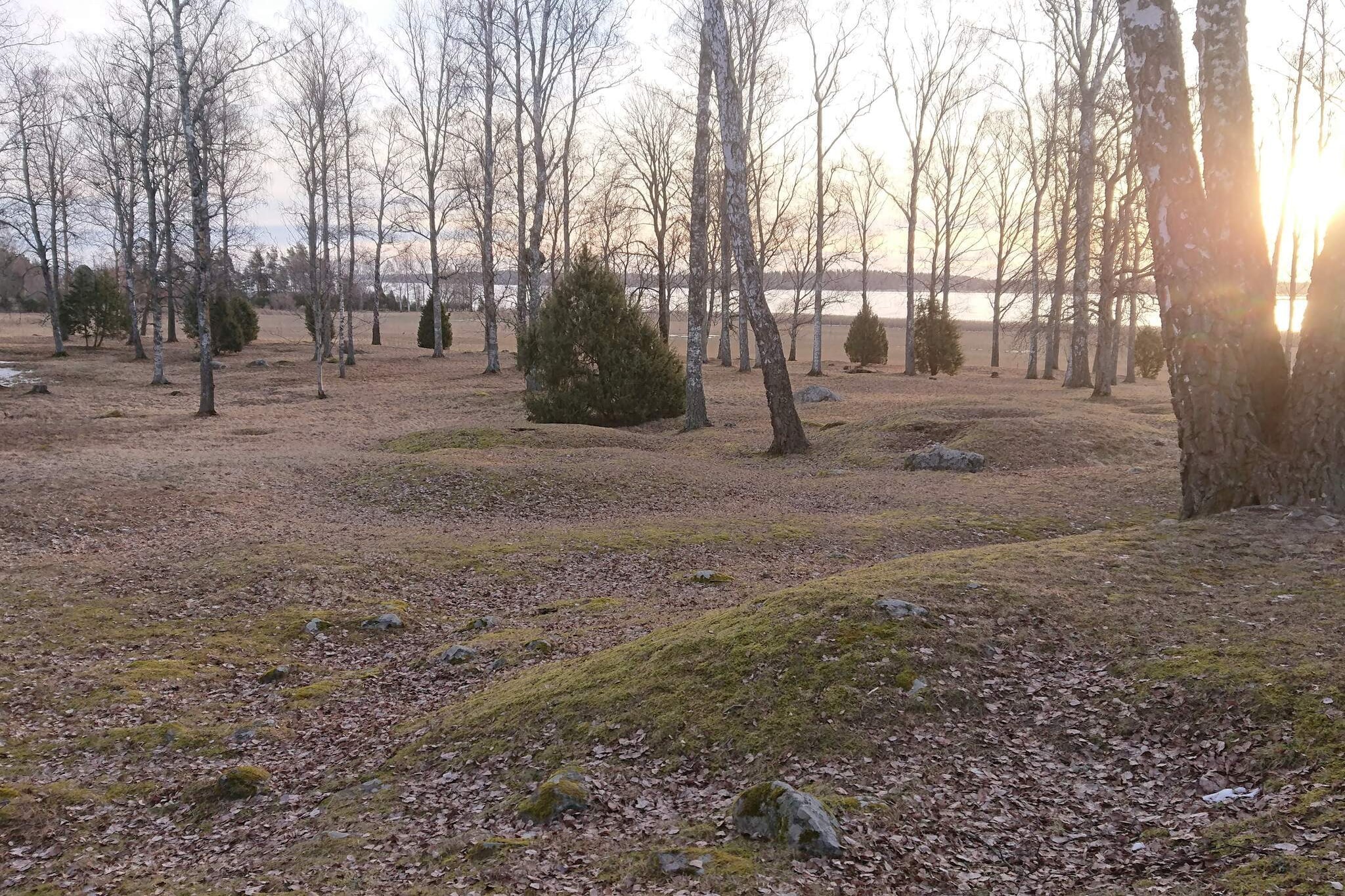 6 persoons vakantie huis in HAMMARÖ-By Traum - Niet-getagd