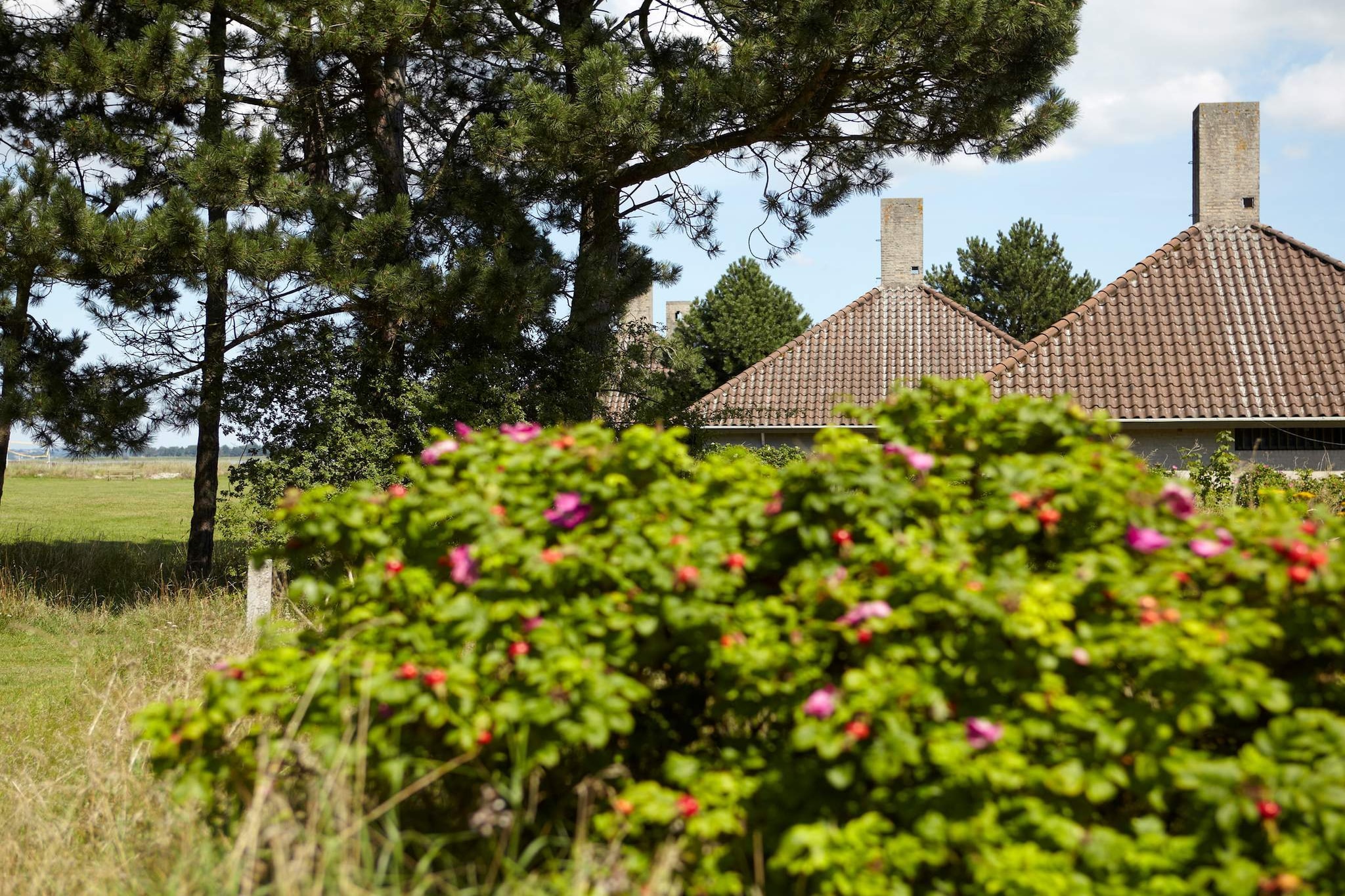 3 vær.,Fjordudsigt,Premium-Uitzicht