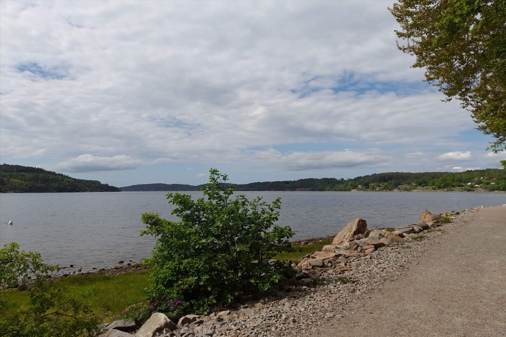 Water View