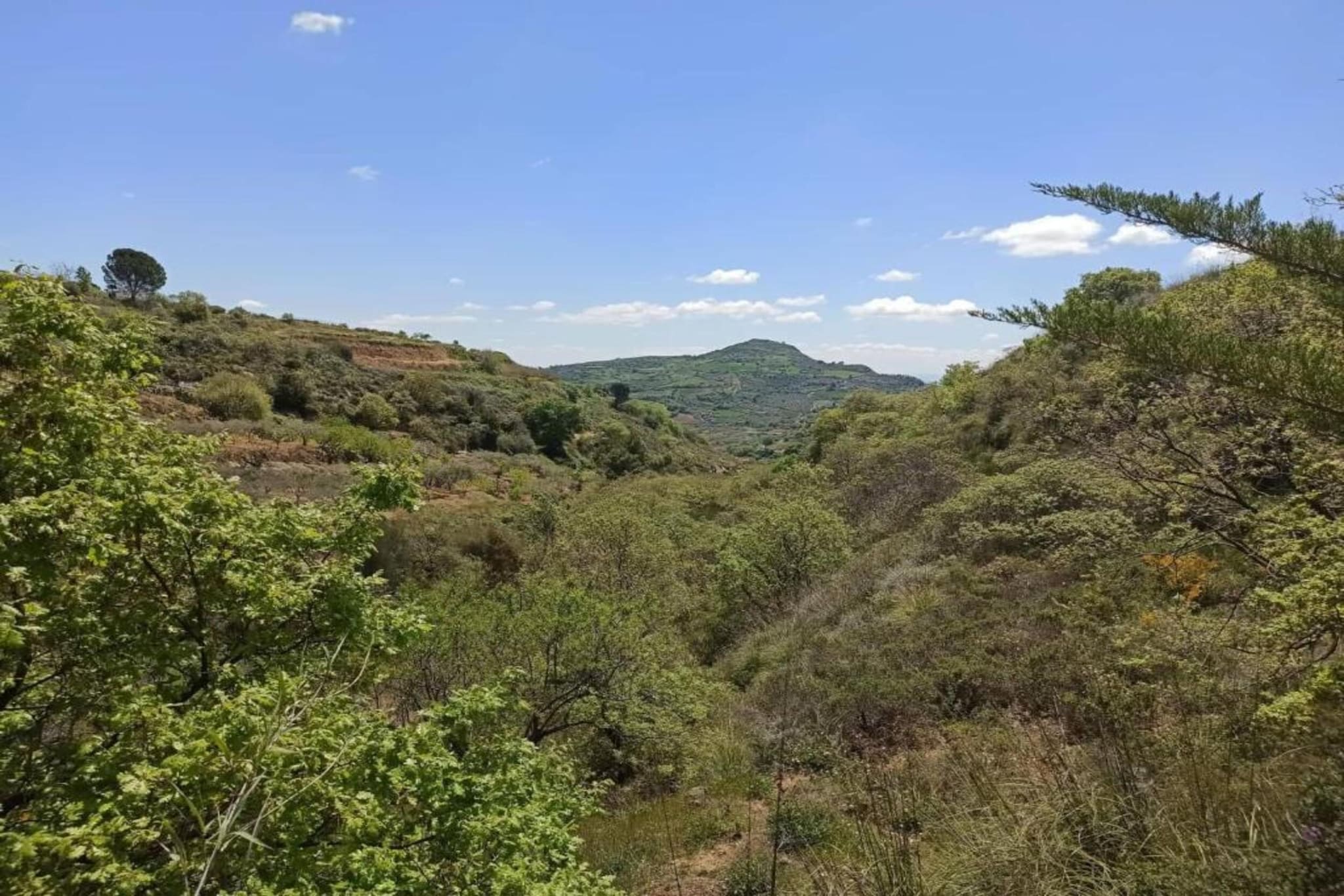 Villa Leonforte-Gebieden zomer 20km