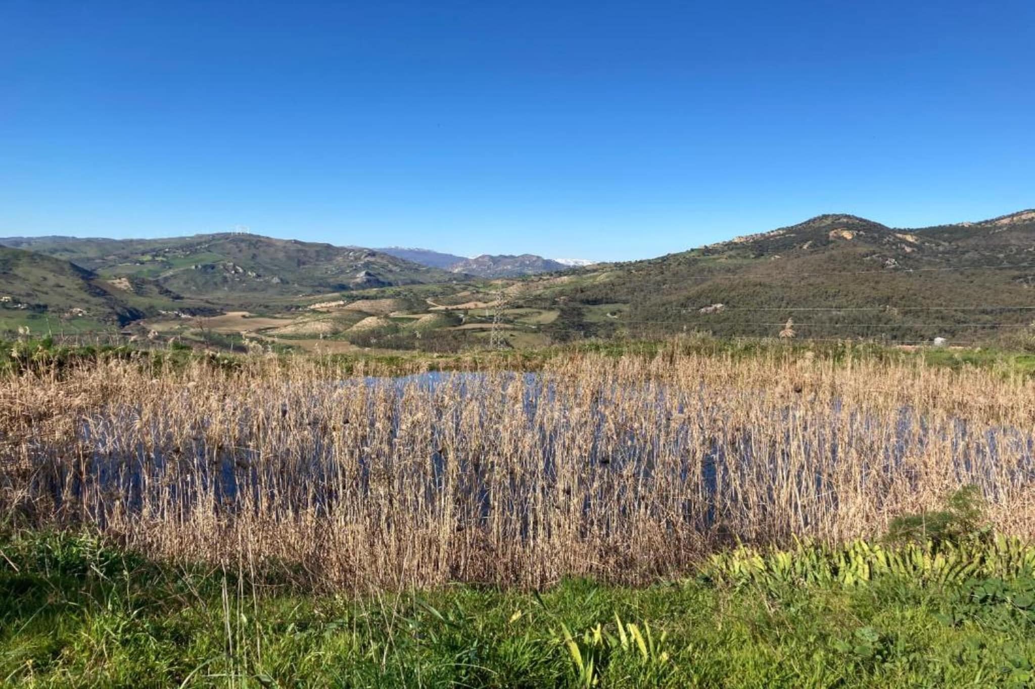 Villa Leonforte-Gebieden zomer 20km