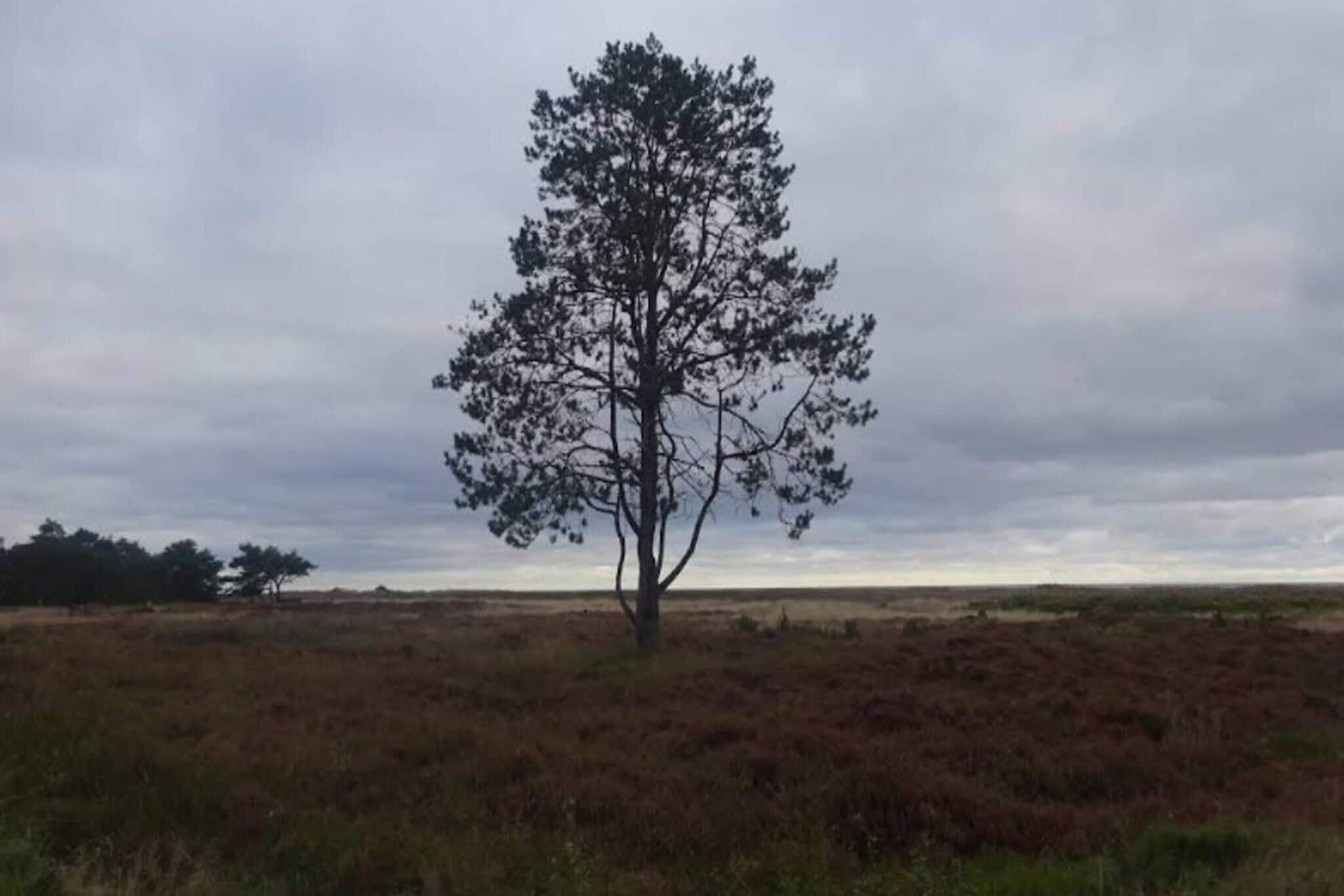 4 persoons vakantie huis in Hals-By Traum-Buitenlucht