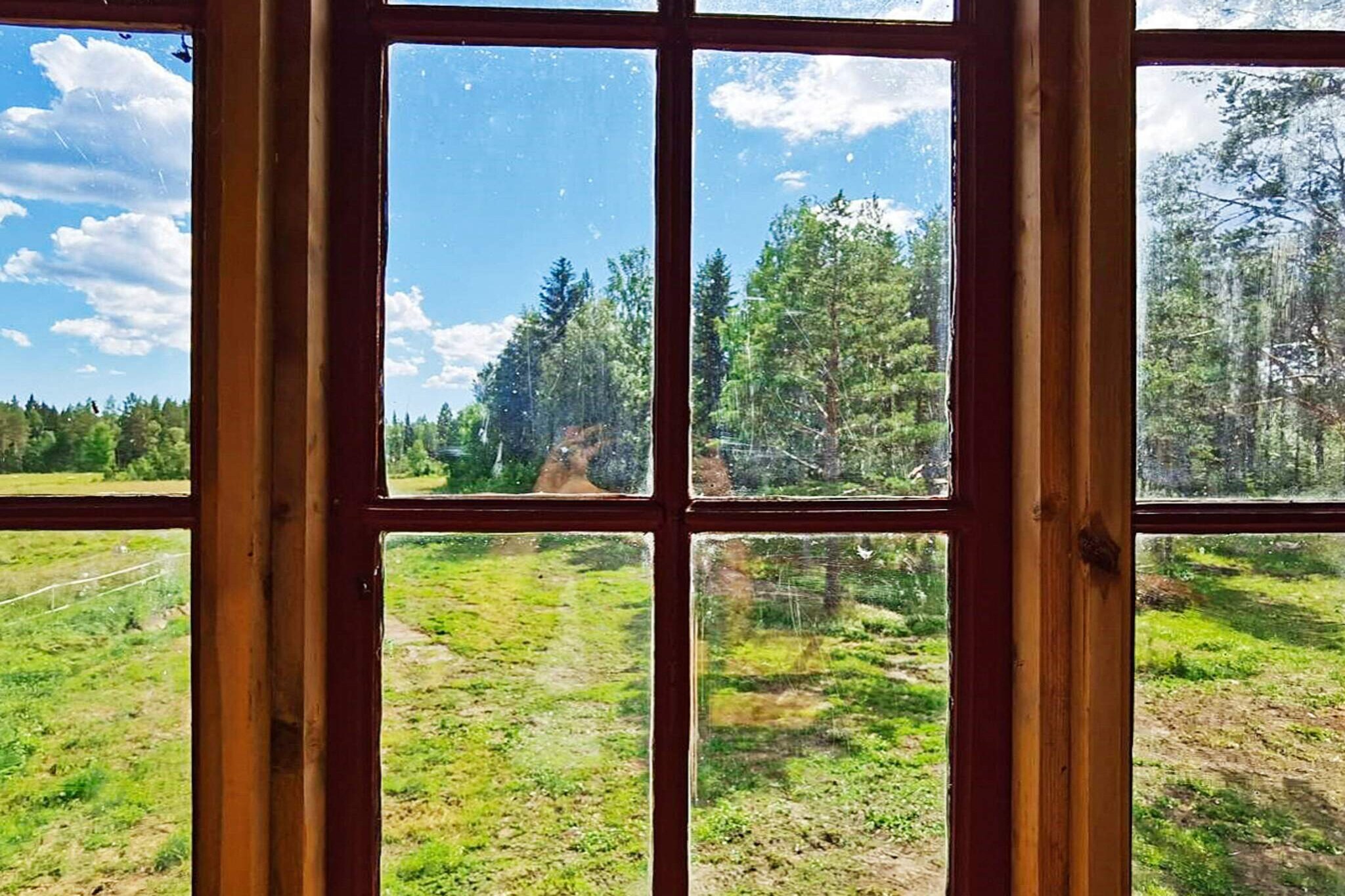 Internet Access DSL, Living room(double folding bed), Sitting room(electric heating)(single bed), Sitting room(electric heating)(single bed), Sitting room(electric heating)(single bed), Sitting room(electric heating)(single bed), Sitting room(electric heating)(single bed), Sitting room(electric heating)(single bed), Kitchen(cooker(2 ring stoves), coffee machine, oven, microwave, fridge, freezer(shared with the owner )), Living/bed room, bathroom(floor heating)(tumble dryer, washbasin, shower, toilet, washing machine), heating(electric), garden, garden furniture, BBQ, parking