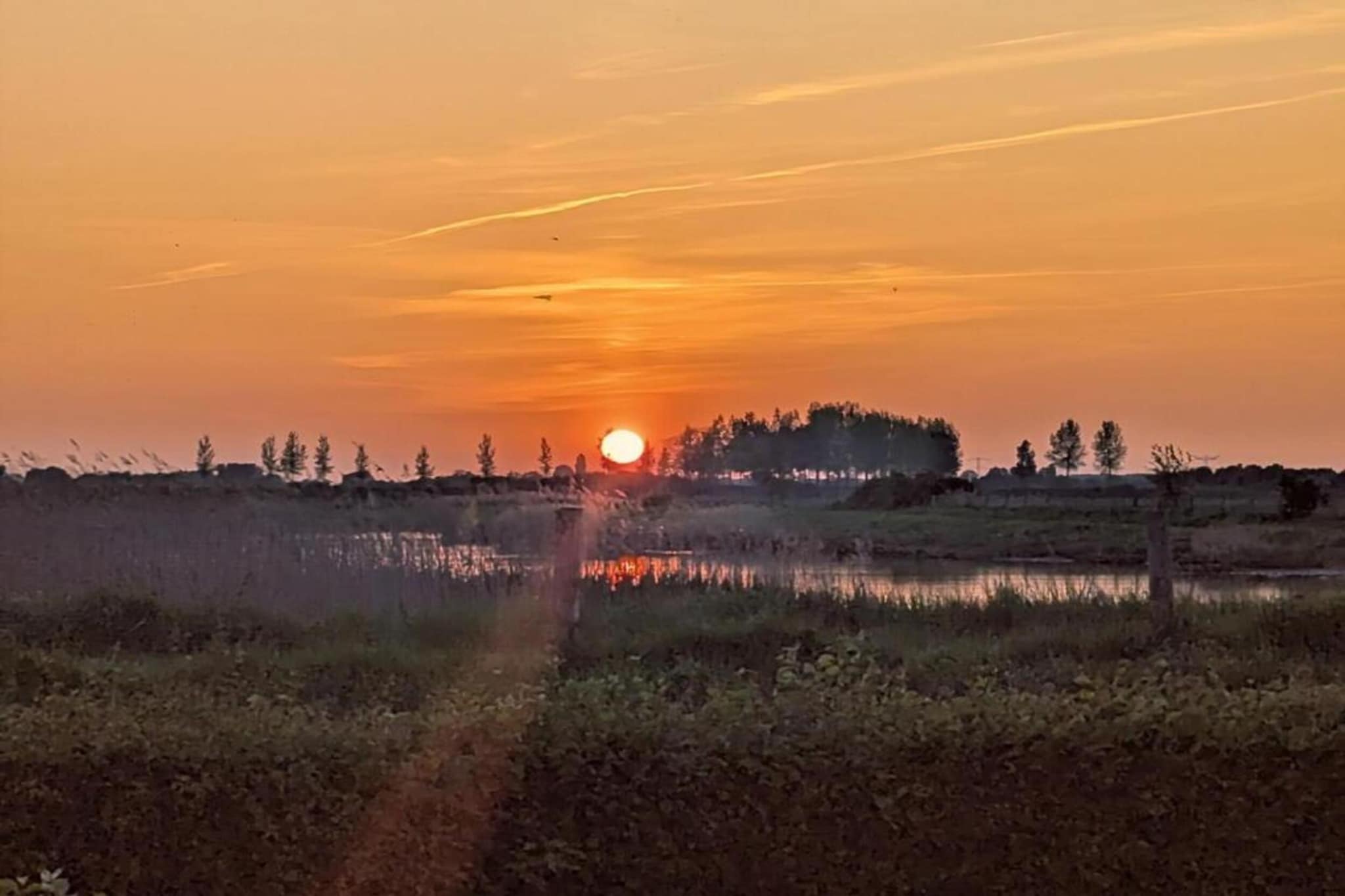 Kustwoning Baarland in Zeeland-Gebieden zomer 20km