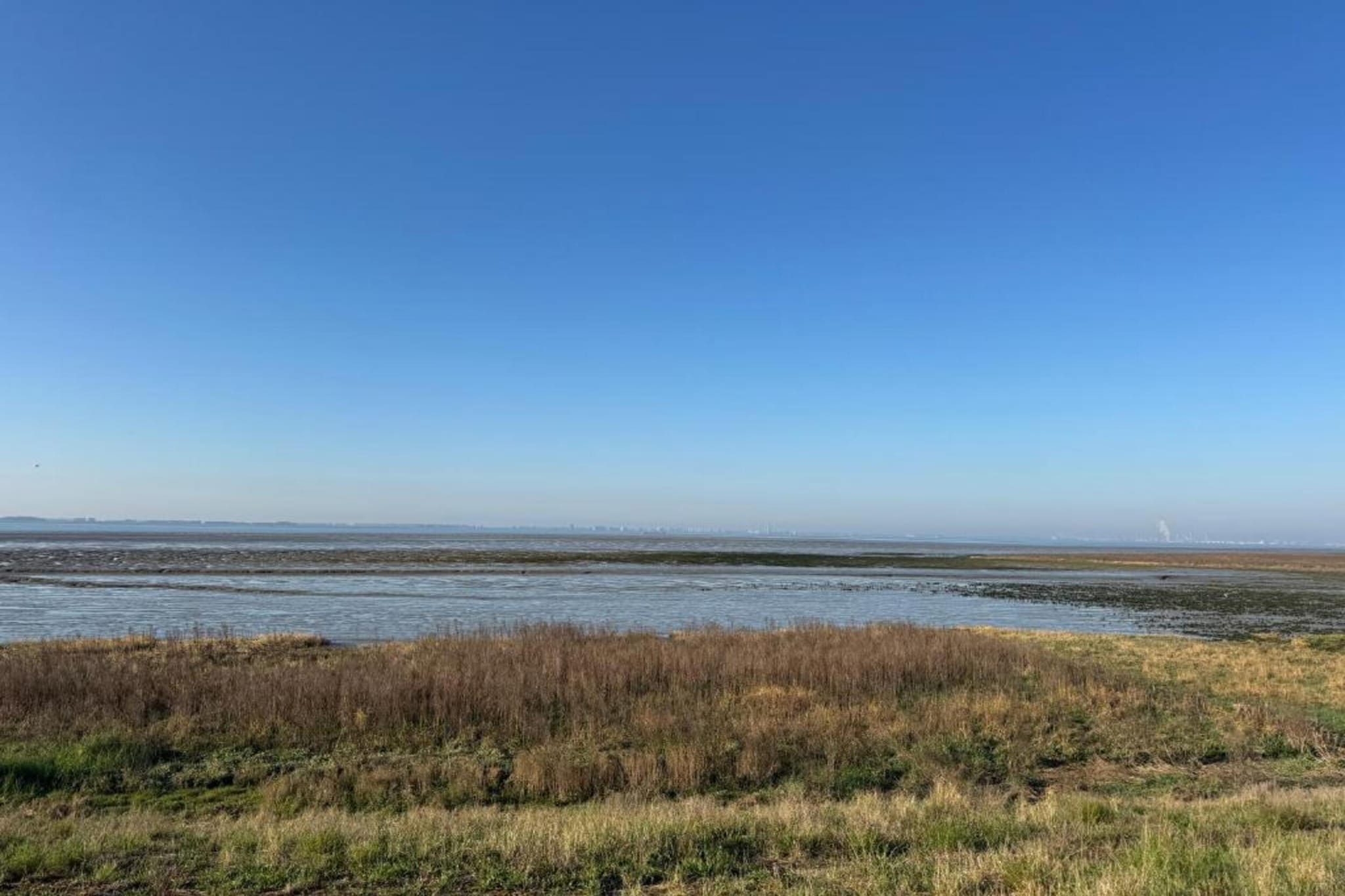 Kustwoning Baarland in Zeeland-Gebieden zomer 20km