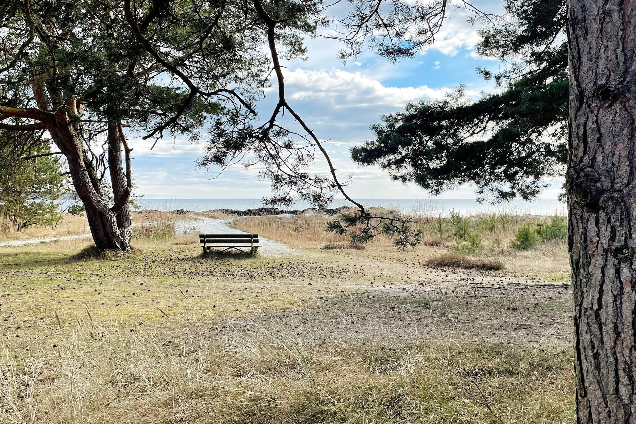 6 person holiday home in SÖLVESBORG-By Traum - Untagged