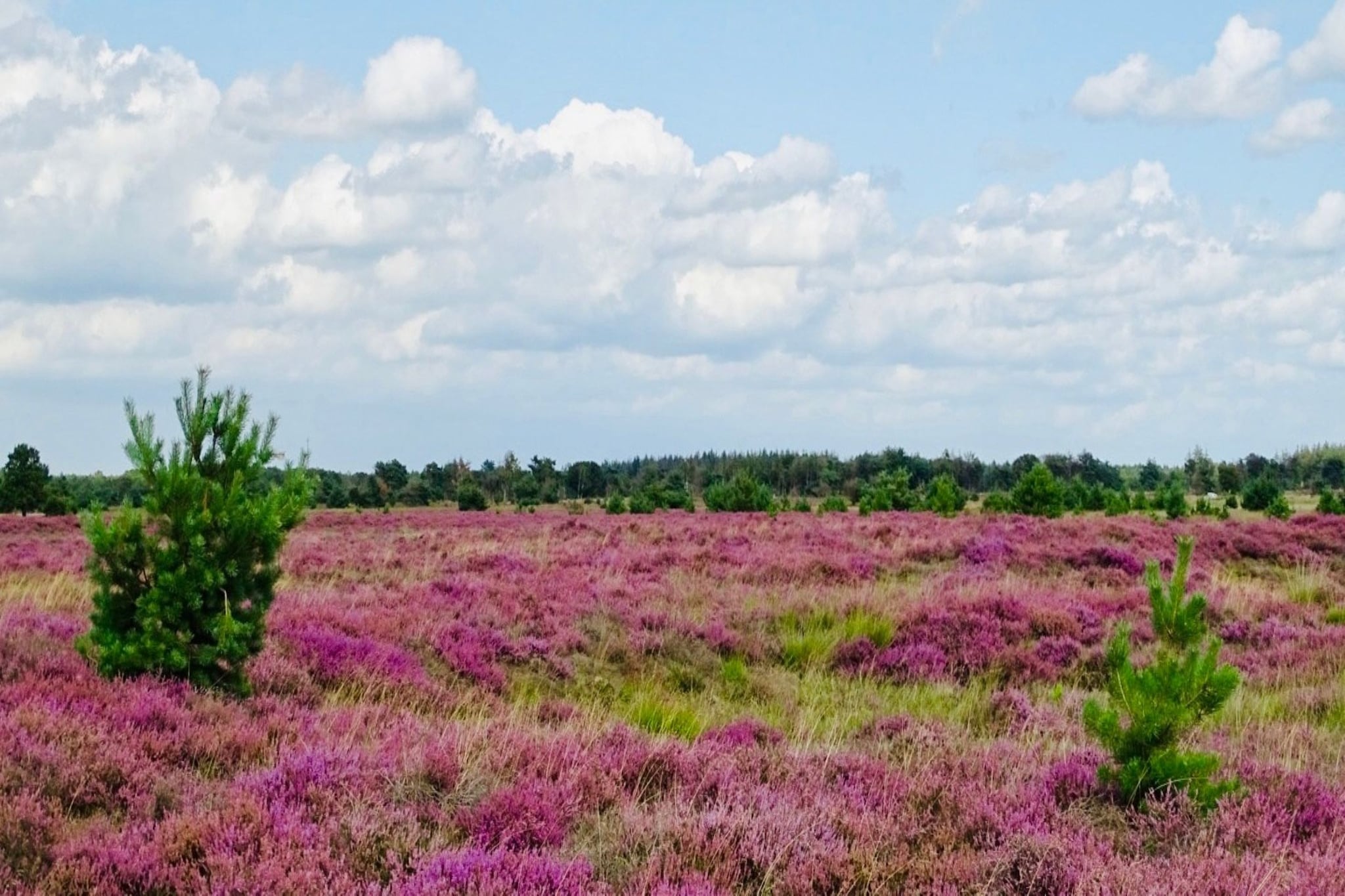 Vakantiehuisje 20 - Gebieden zomer 20km
