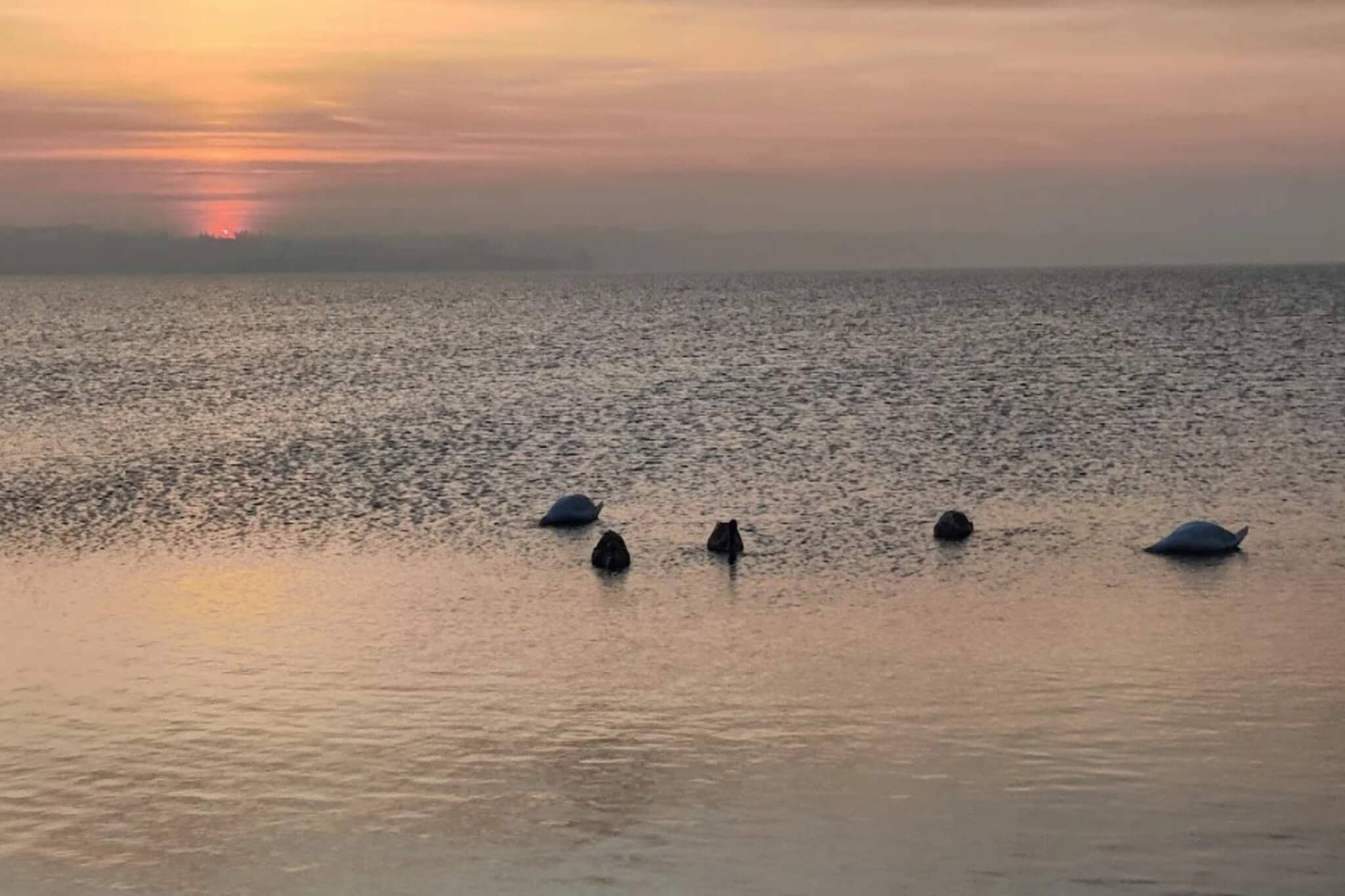 6-persoonshuis in Ærøskøbing-By-Waterzicht