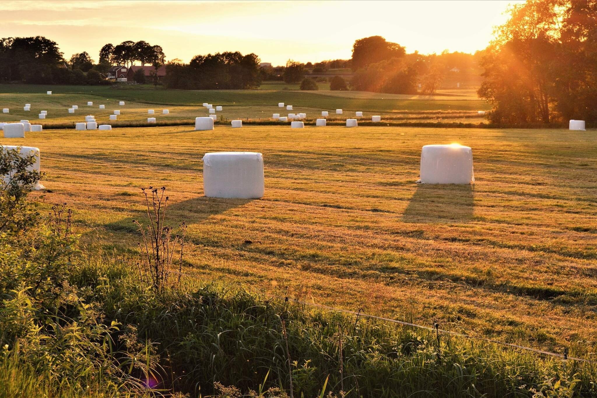 Untagged