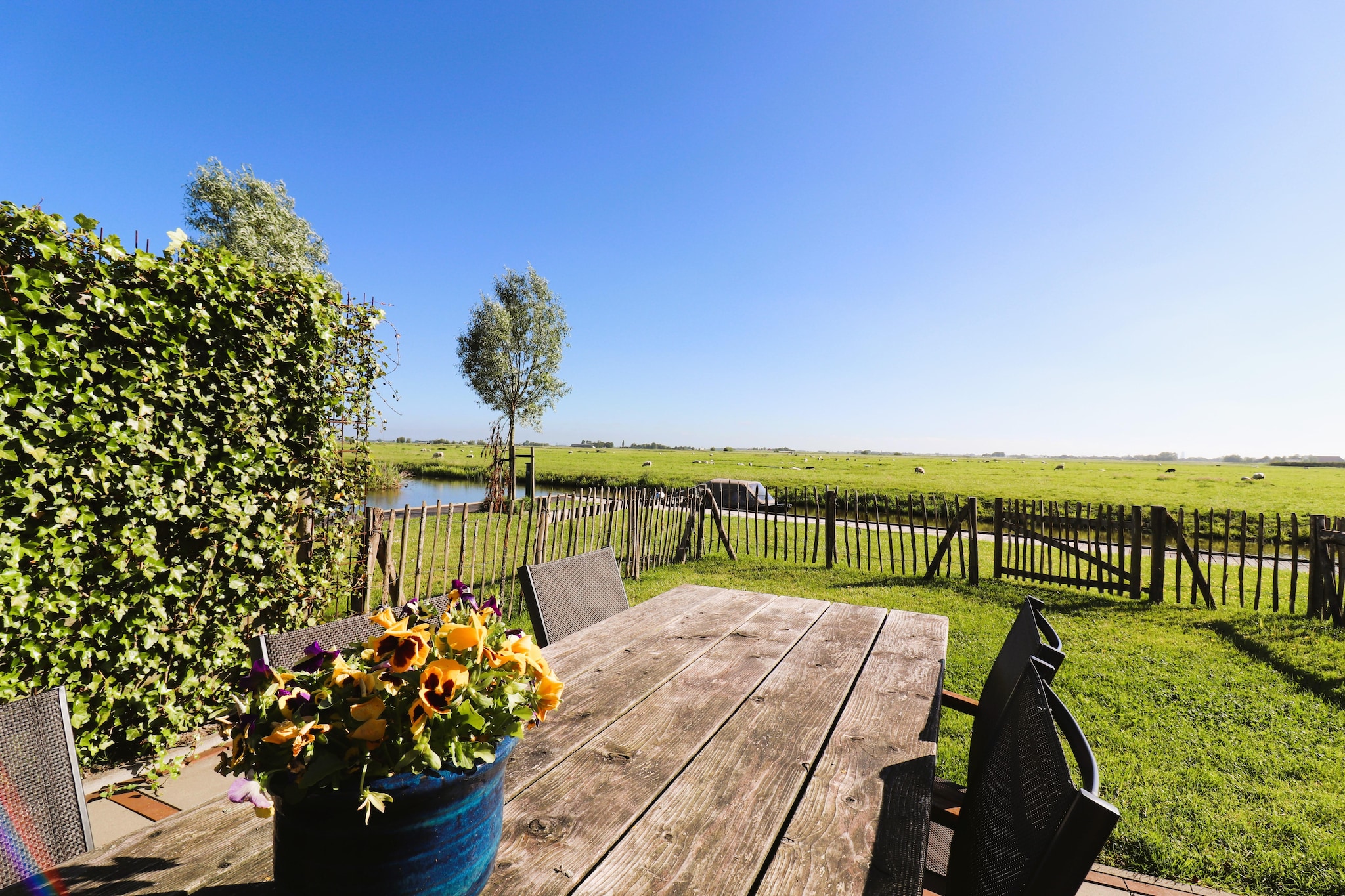 Friese Villa in Leons - Gardens in summer