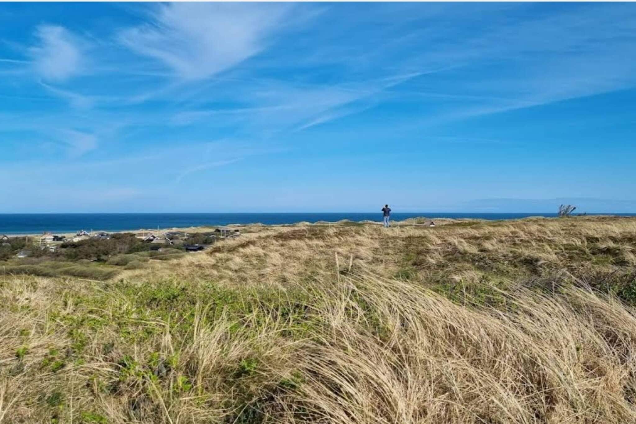 4 persoons vakantie huis in Blokhus-By Traum-Niet-getagd