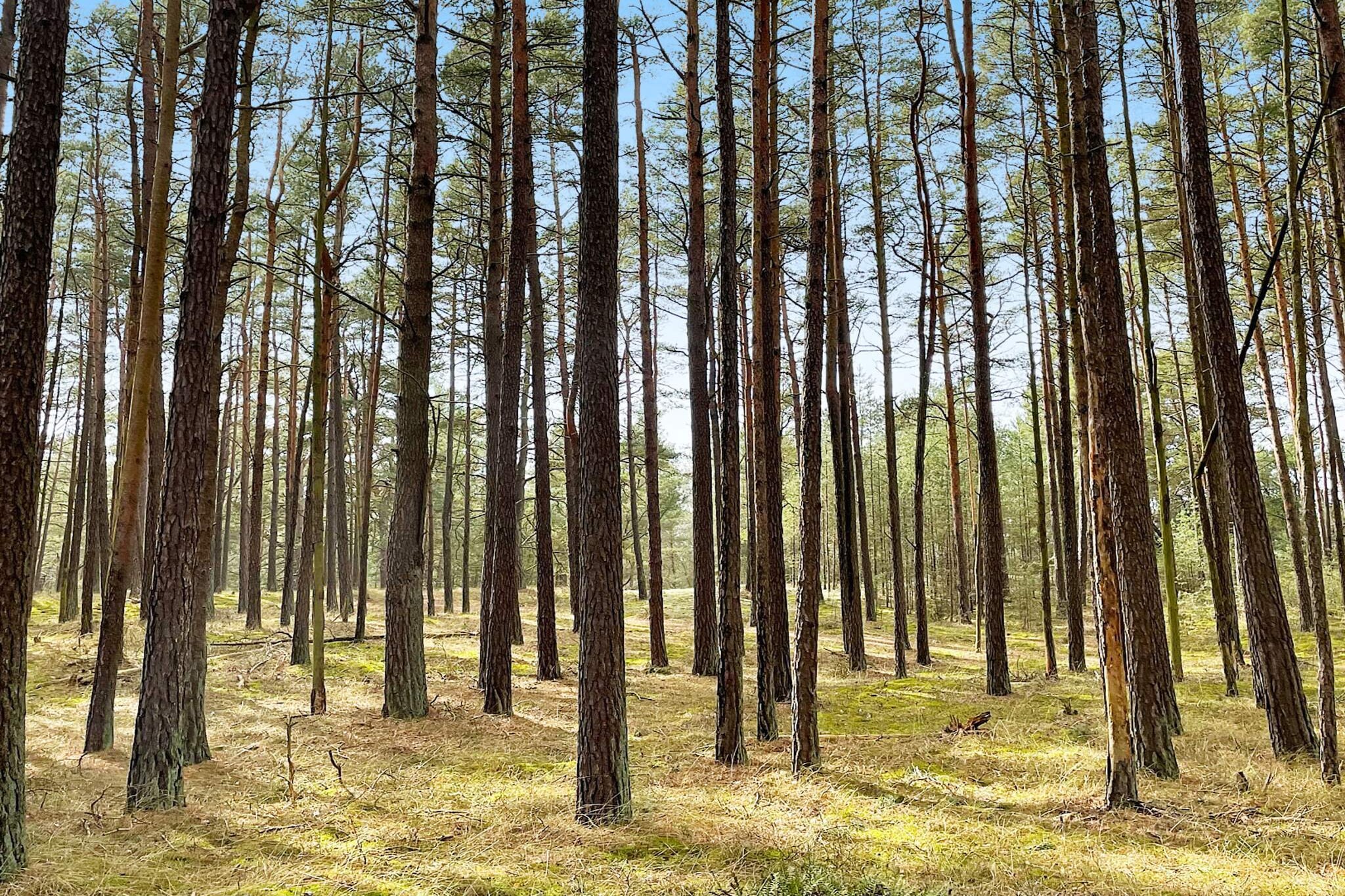 6 persoons vakantie huis in YNGSJÖ-By Traum - Niet-getagd