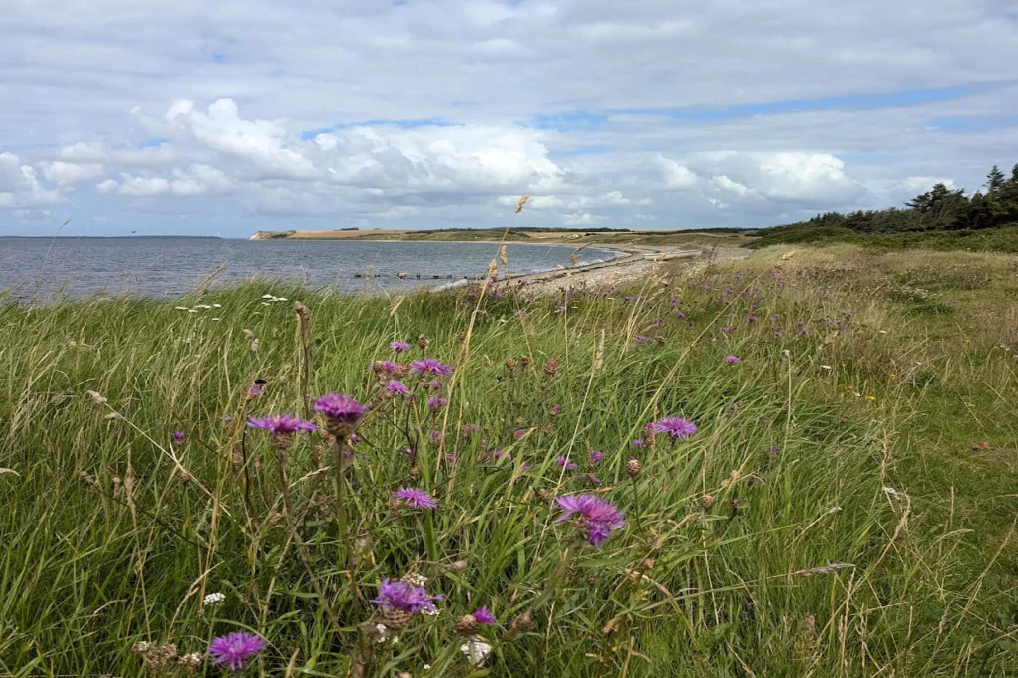 Cosy holiday home near Limfjorden - Untagged