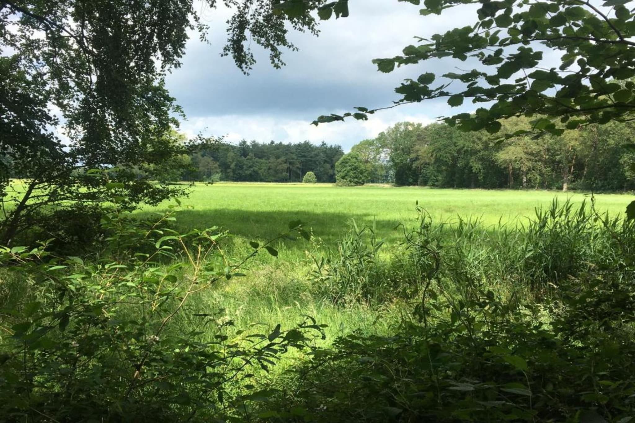 Koe in de Kost 4-Areas summer 1km