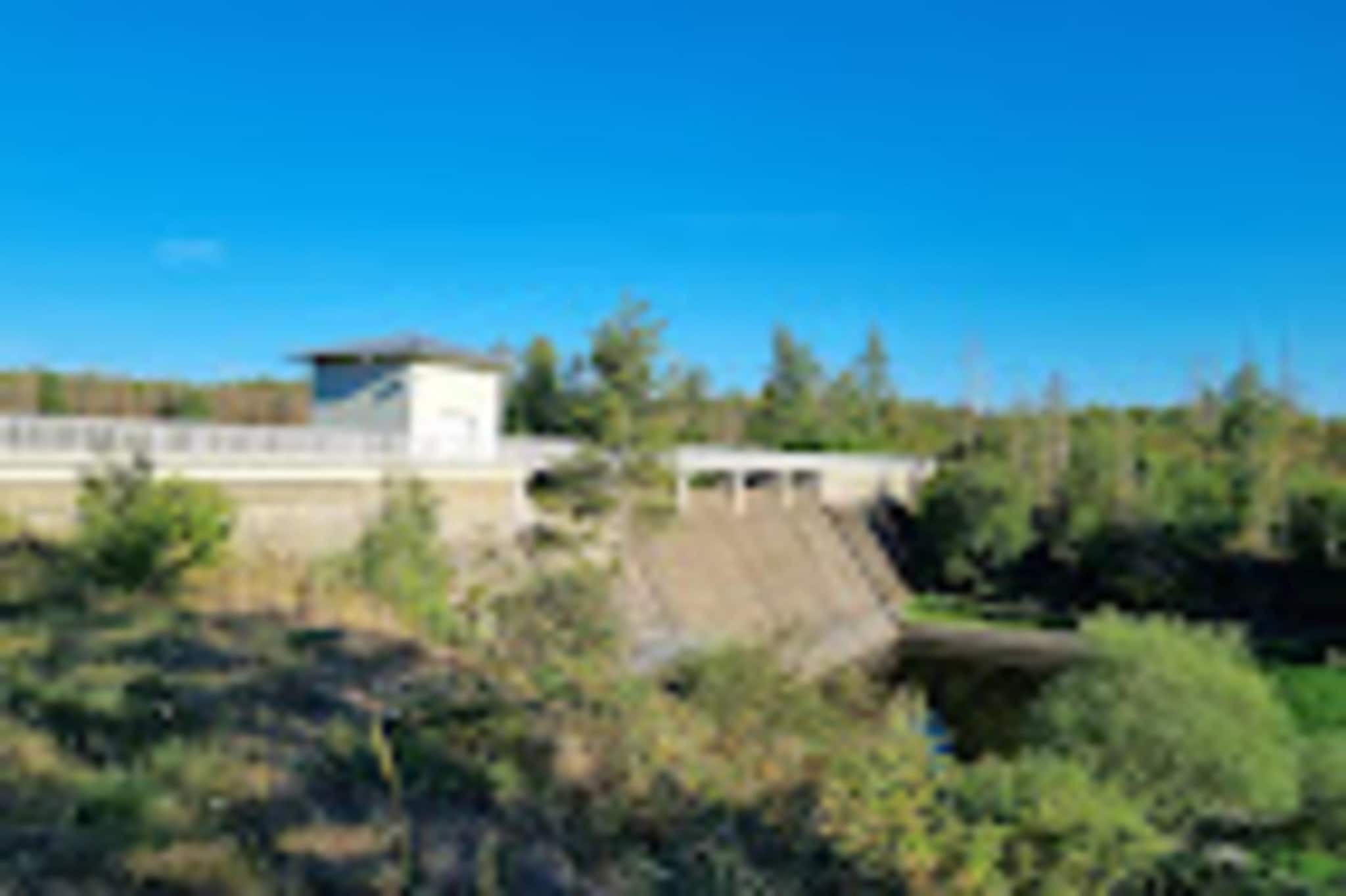 Ferienhaus in Hasselfelde - Haus 318 Auerhahn-Gebieden zomer 5km