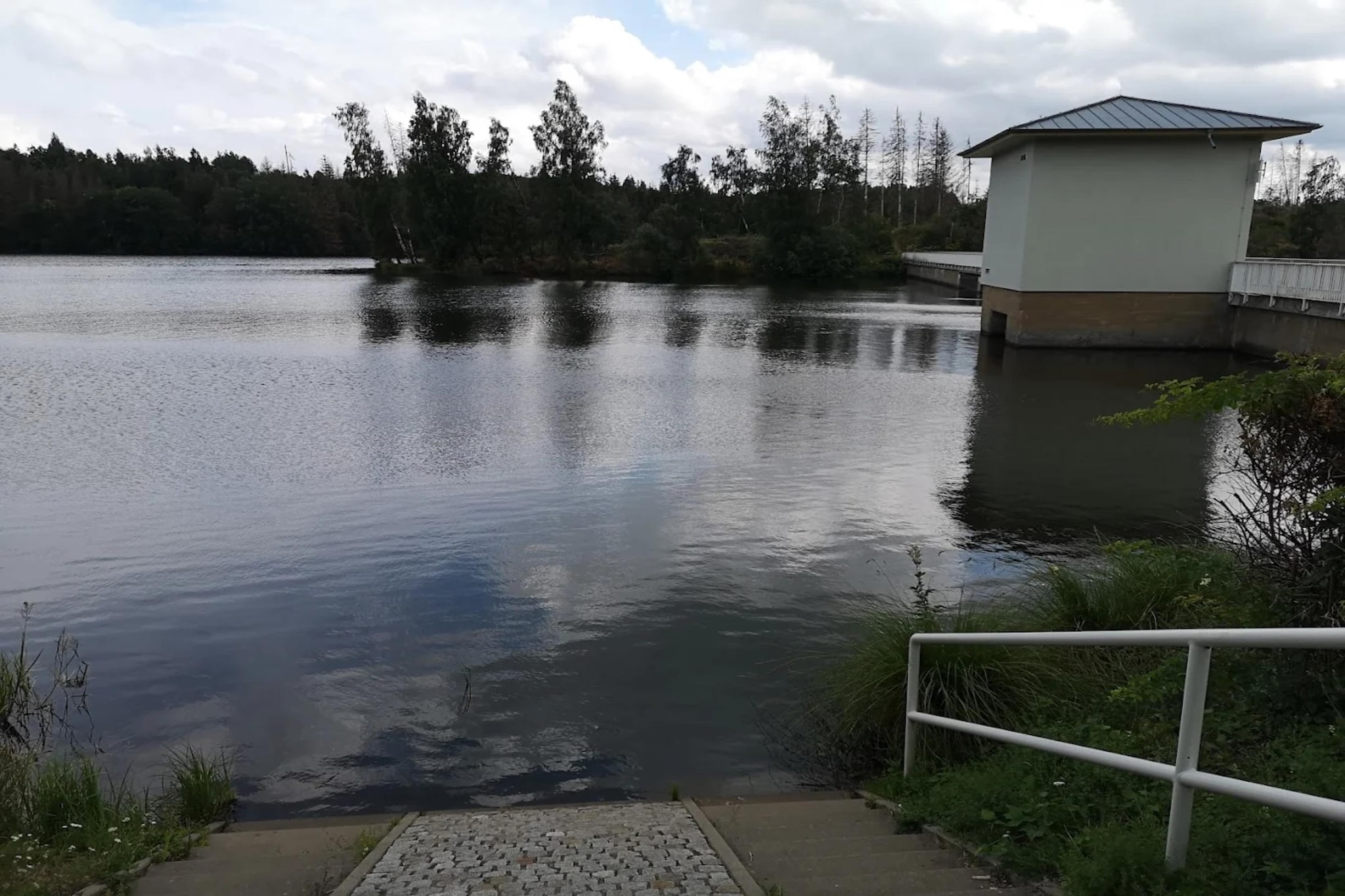 Ferienhaus in Hasselfelde - Haus 116 Auerhahn-Gebieden zomer 5km