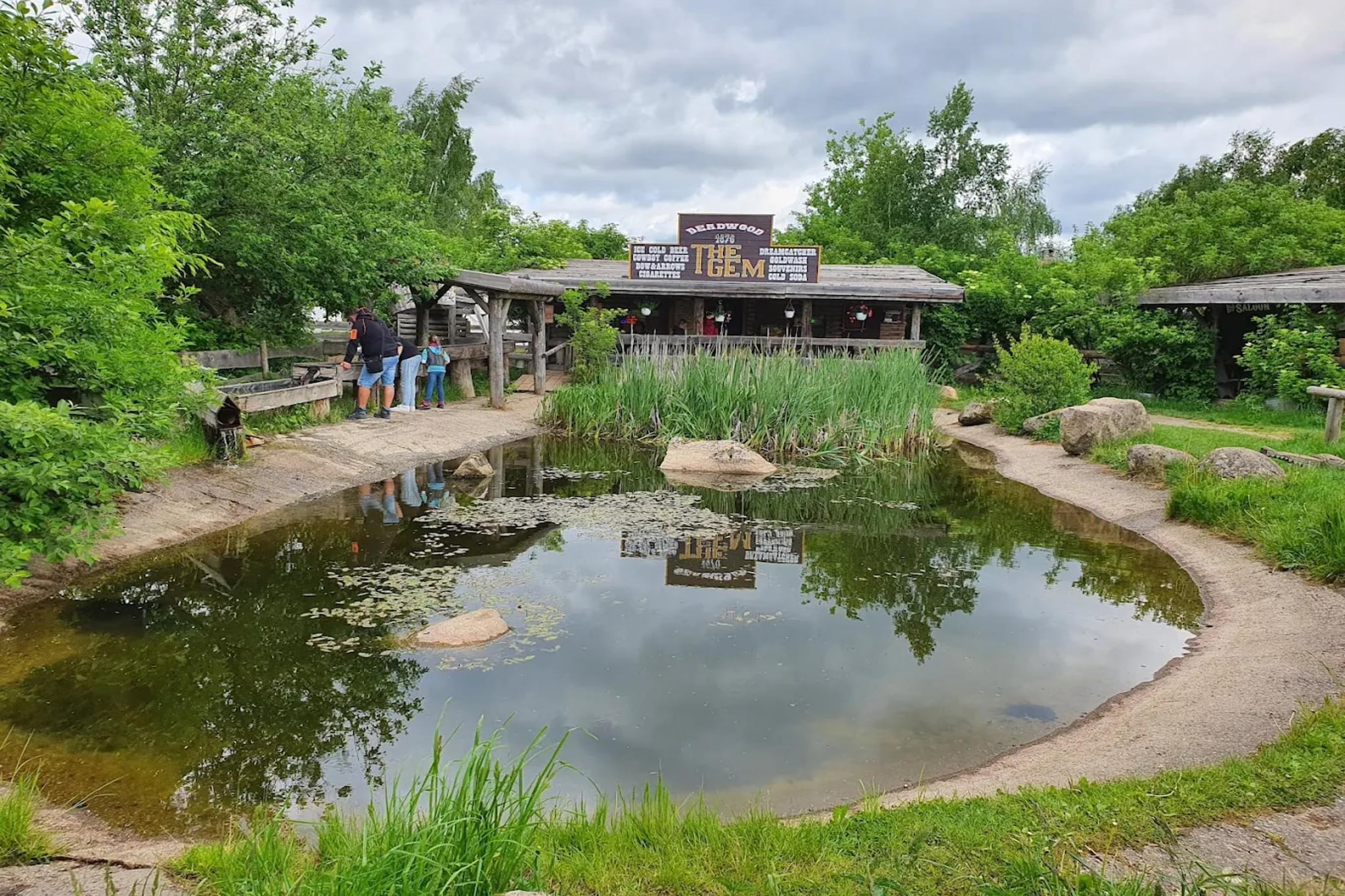 Ferienhaus in Hasselfelde - Haus 116 Auerhahn-Gebieden zomer 5km