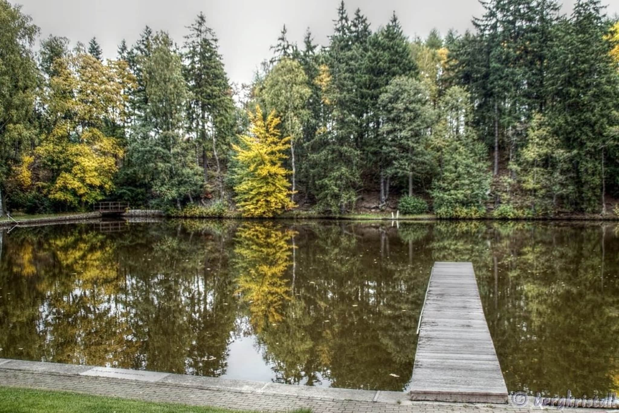 Ferienhaus in Hasselfelde - Haus 509 Auerhahn-Buitenkant zomer