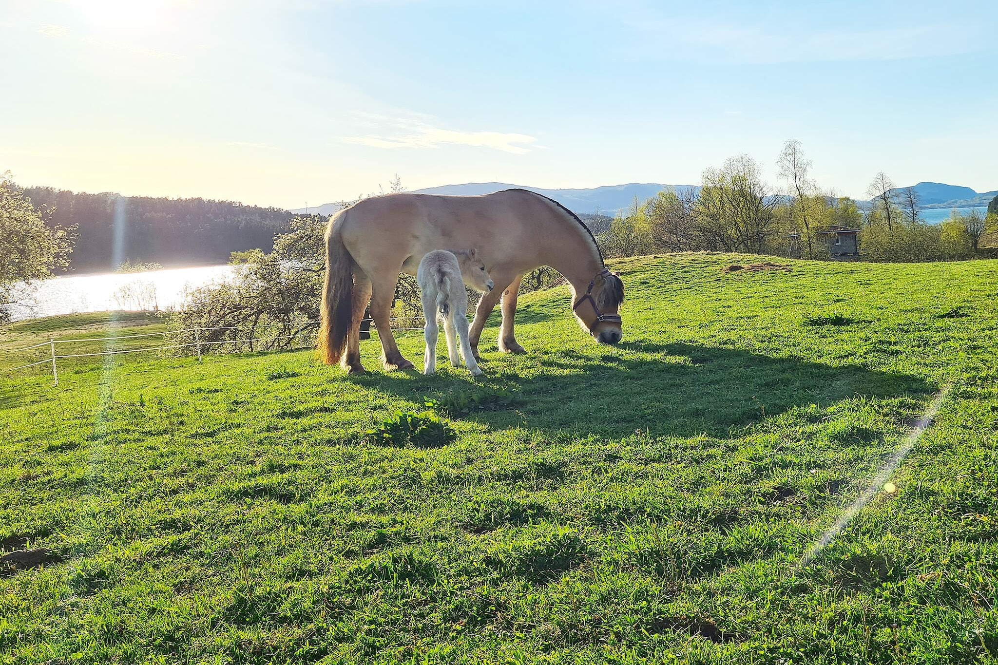 5 persoons vakantie huis in LONEVÅG-By Traum - Niet-getagd