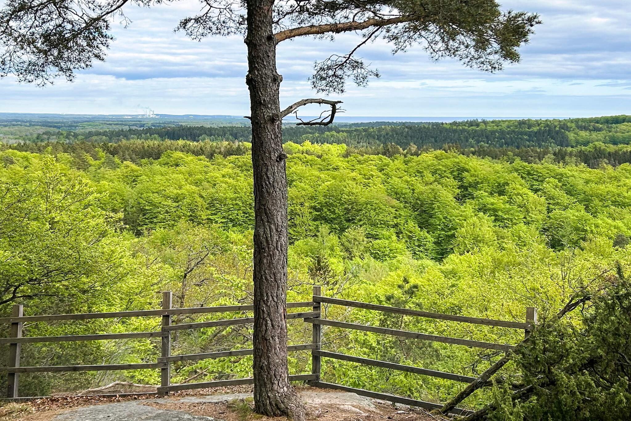 4 persoons vakantie huis in SÖLVESBORG-By Traum-Buitenlucht