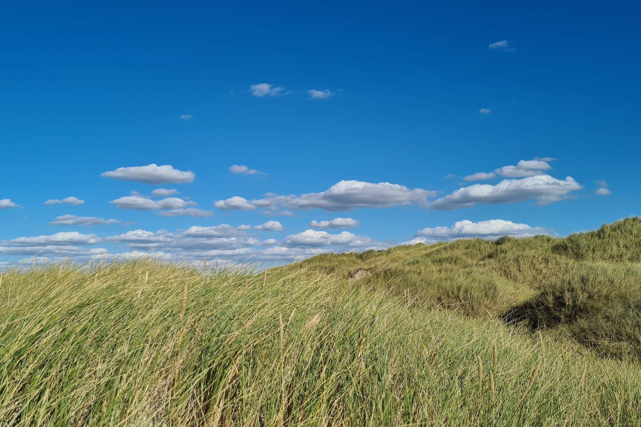 6 persoons vakantie huis in Pandrup-By Traum-Niet-getagd