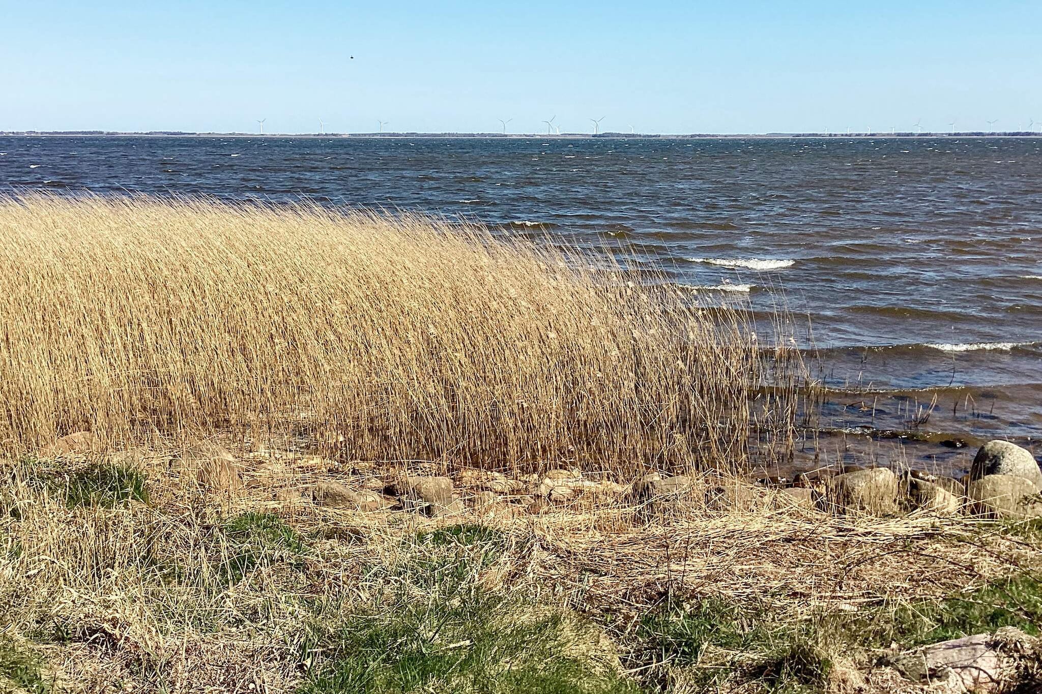 5 sterren vakantie huis in Ulfborg-Buitenlucht