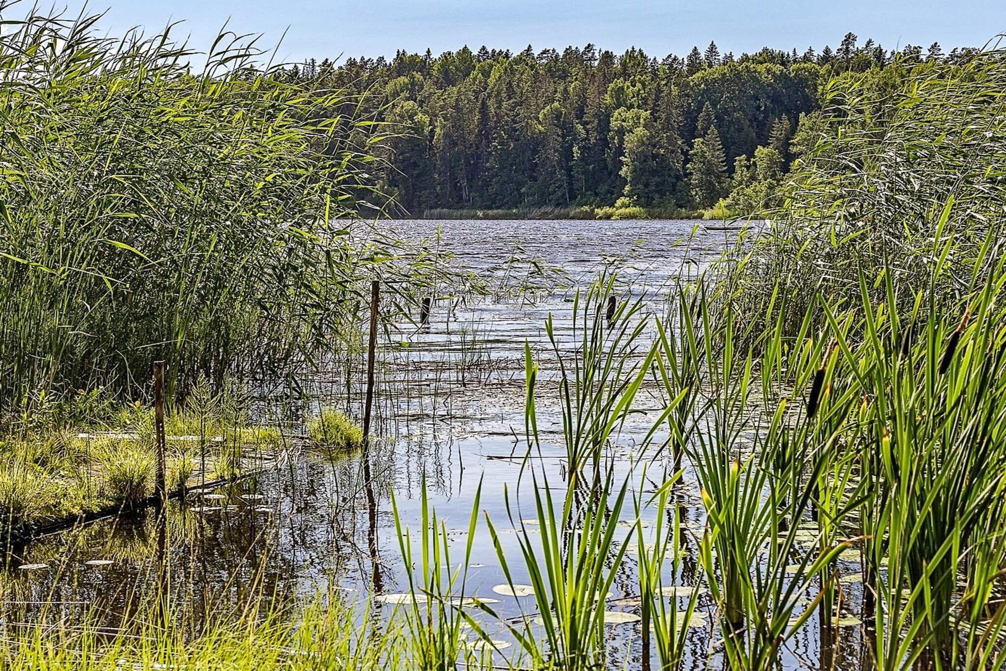 Cottage au bord du lac à Torsebo - Non tagué