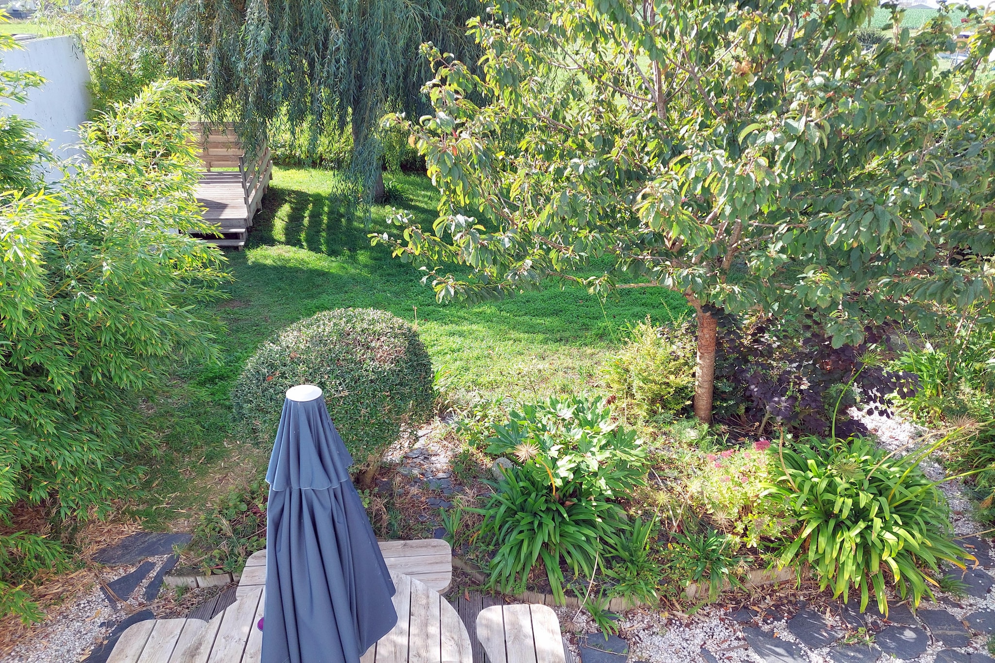 Garden Summer