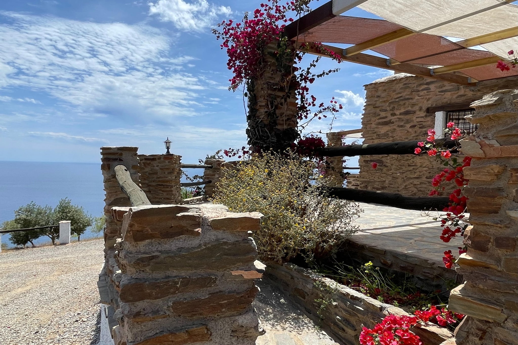 La Suerte Dalia-Exterior summer