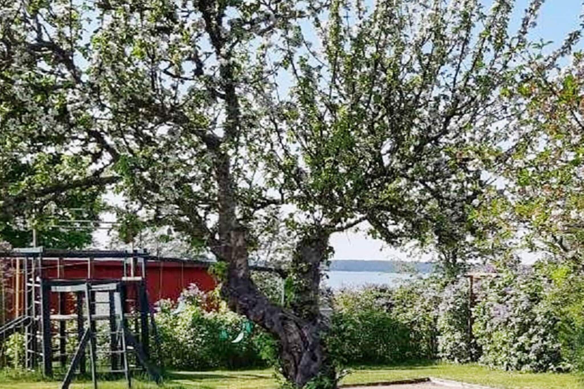 4 persoons vakantie huis in MARIESTAD-By Traum - Buitenlucht