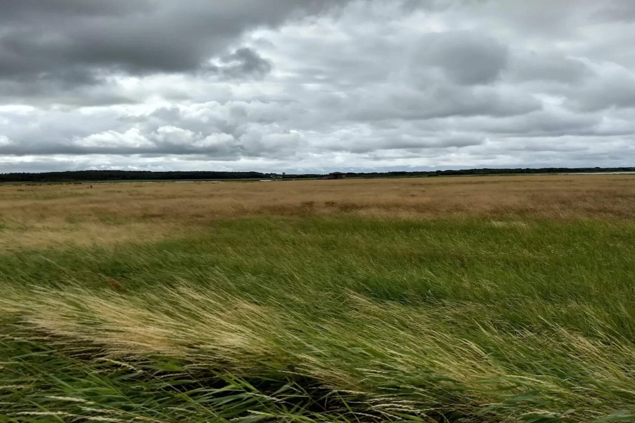 6 persoons vakantie huis in Løgstør-By Traum-Waterzicht