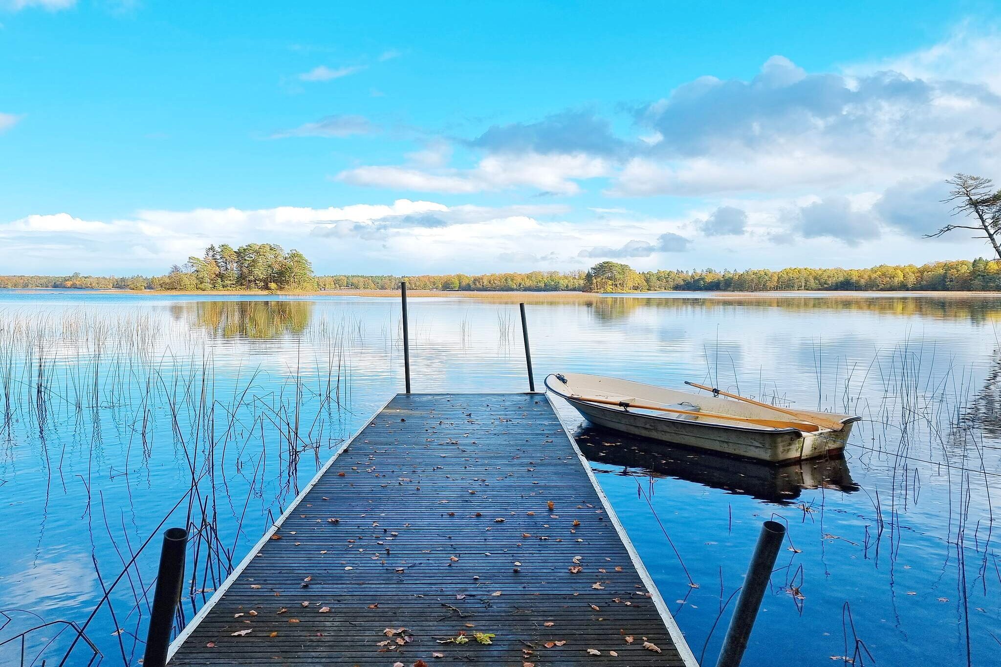 5 persoons vakantie huis in Sibbhult-By Traum - Niet-getagd