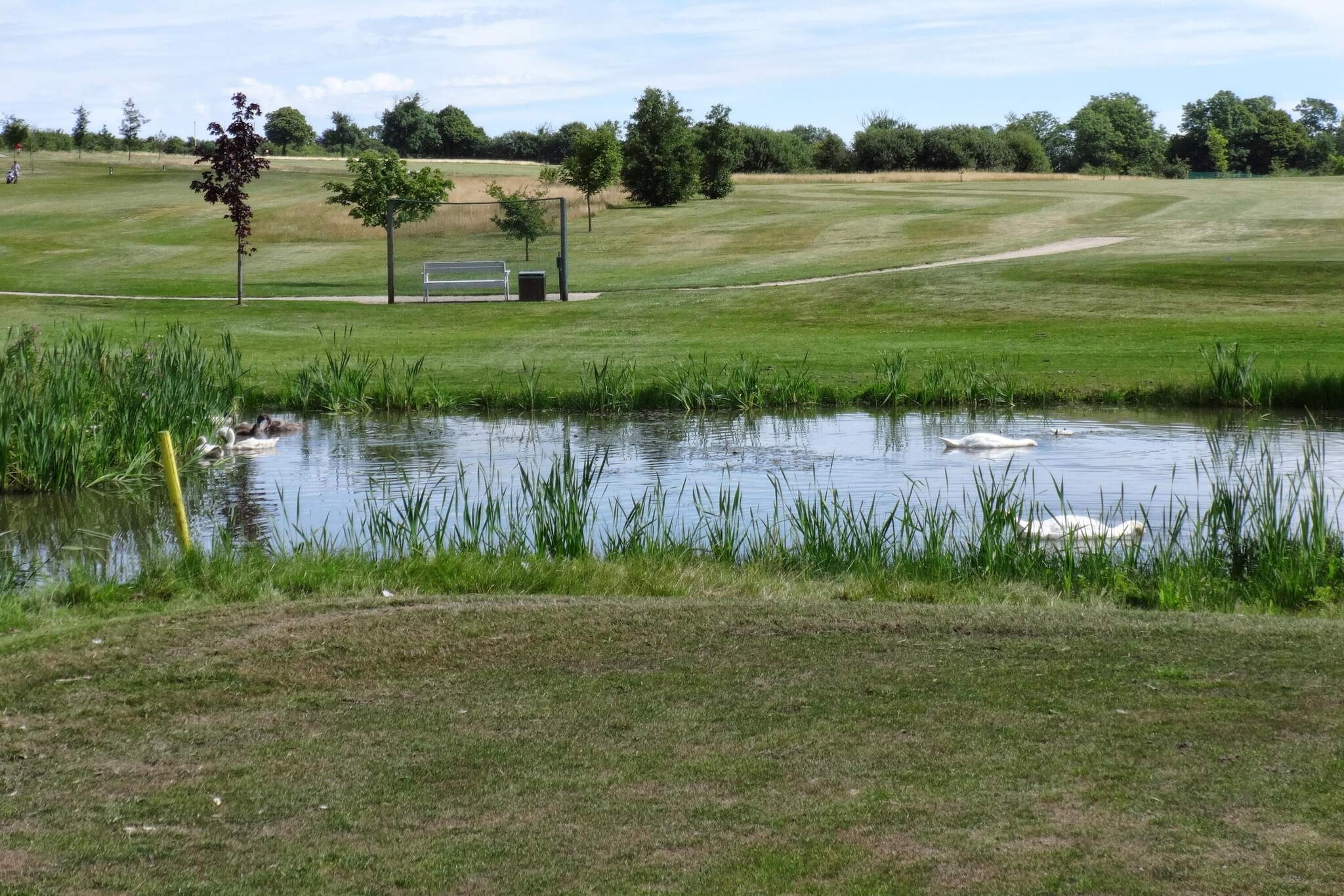 Vakantiehuis nabij het strand van Loddenhoj-Waterzicht