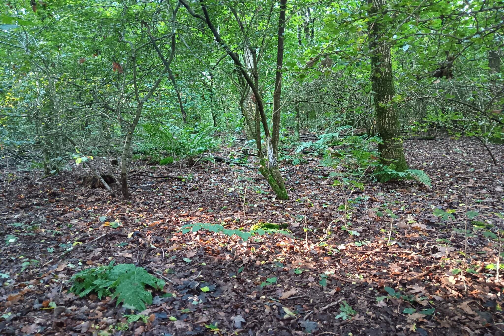 6 person holiday home in Bording-By Traum-Untagged