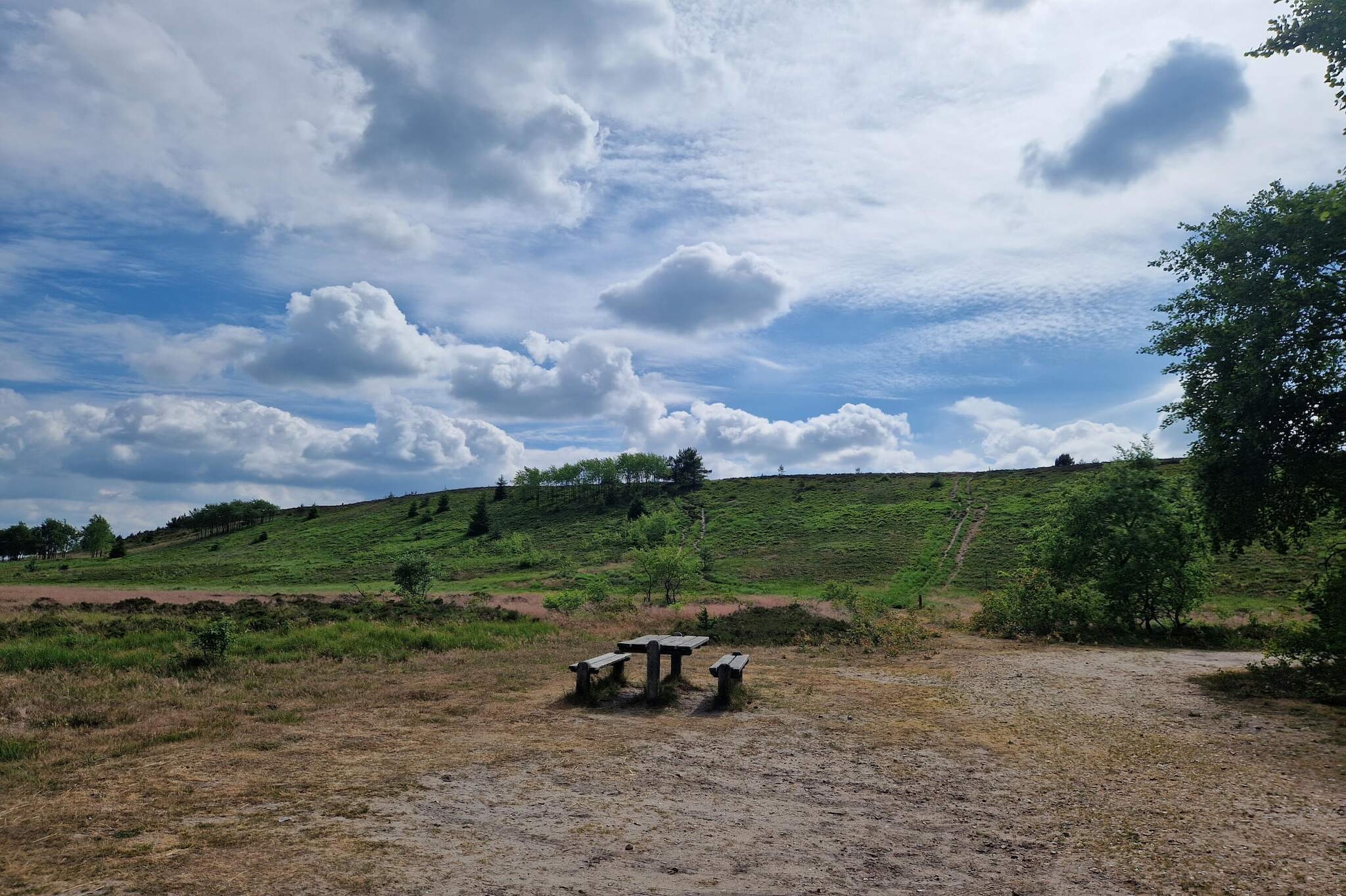 6 person holiday home in Bording-By Traum-Untagged