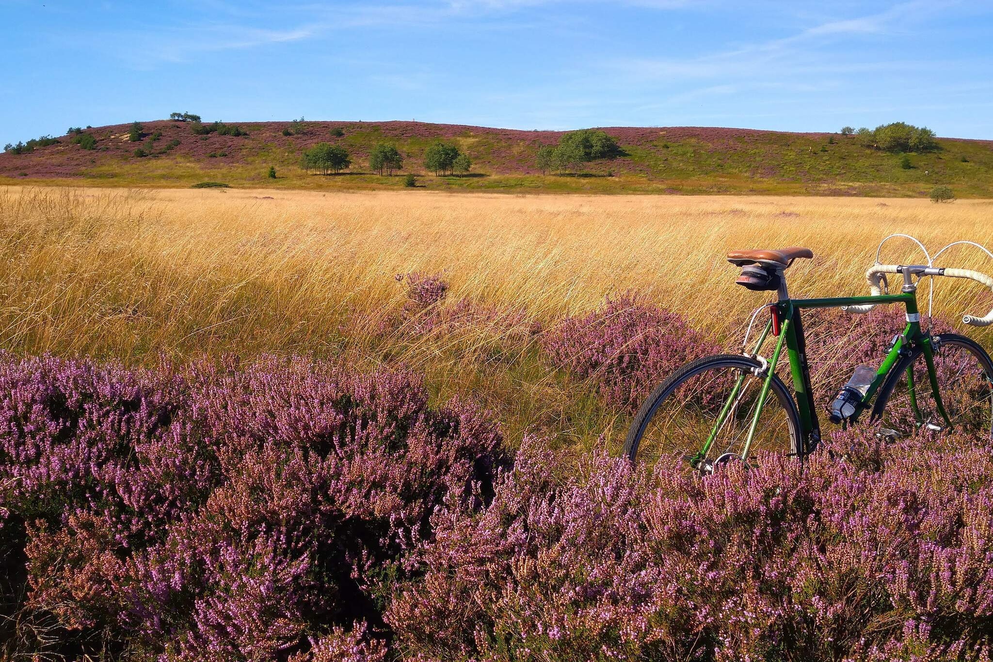 6 person holiday home in Bording-By Traum-Untagged