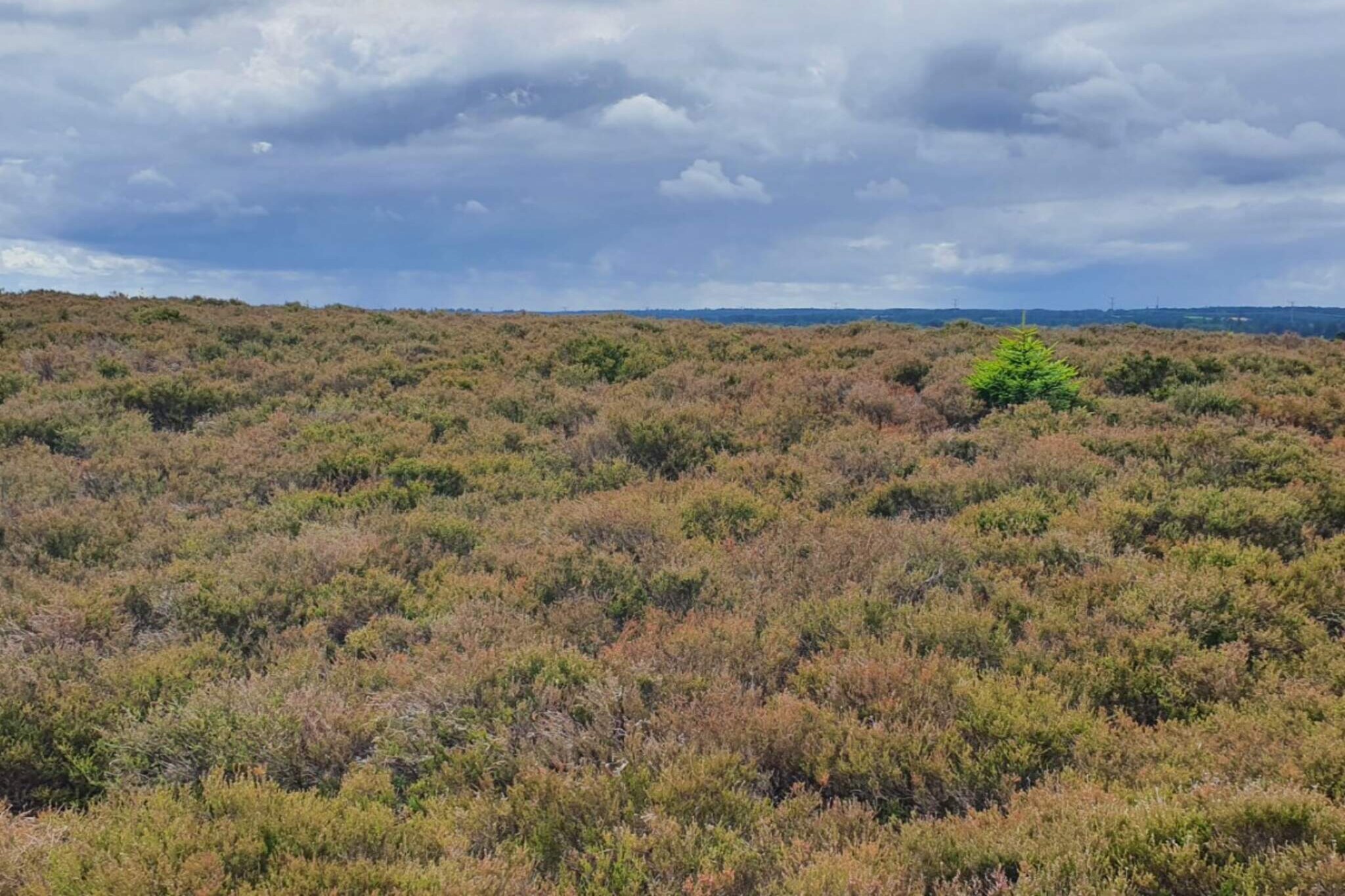 6 person holiday home in Bording-By Traum-Untagged