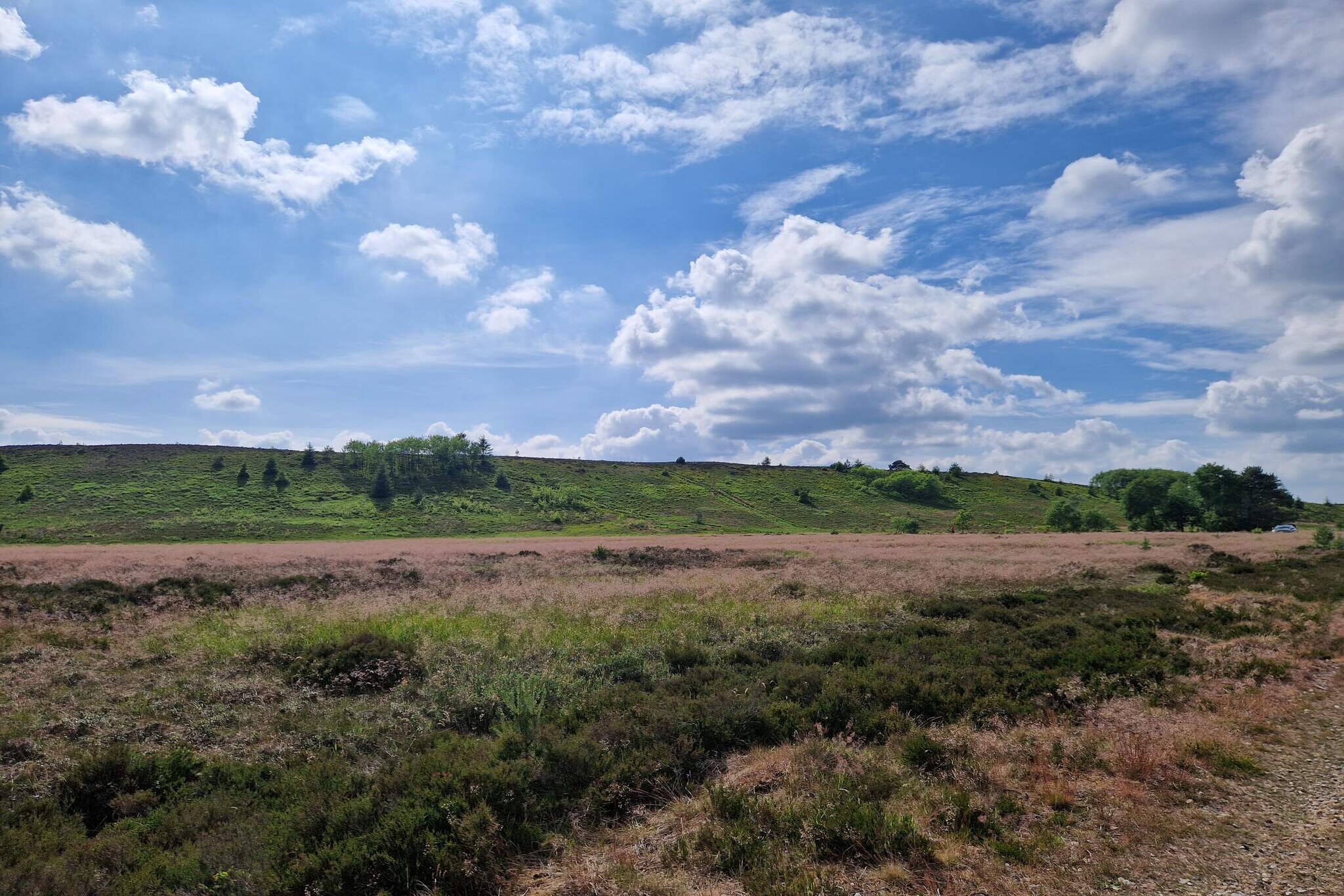 6 person holiday home in Bording-By Traum-Untagged