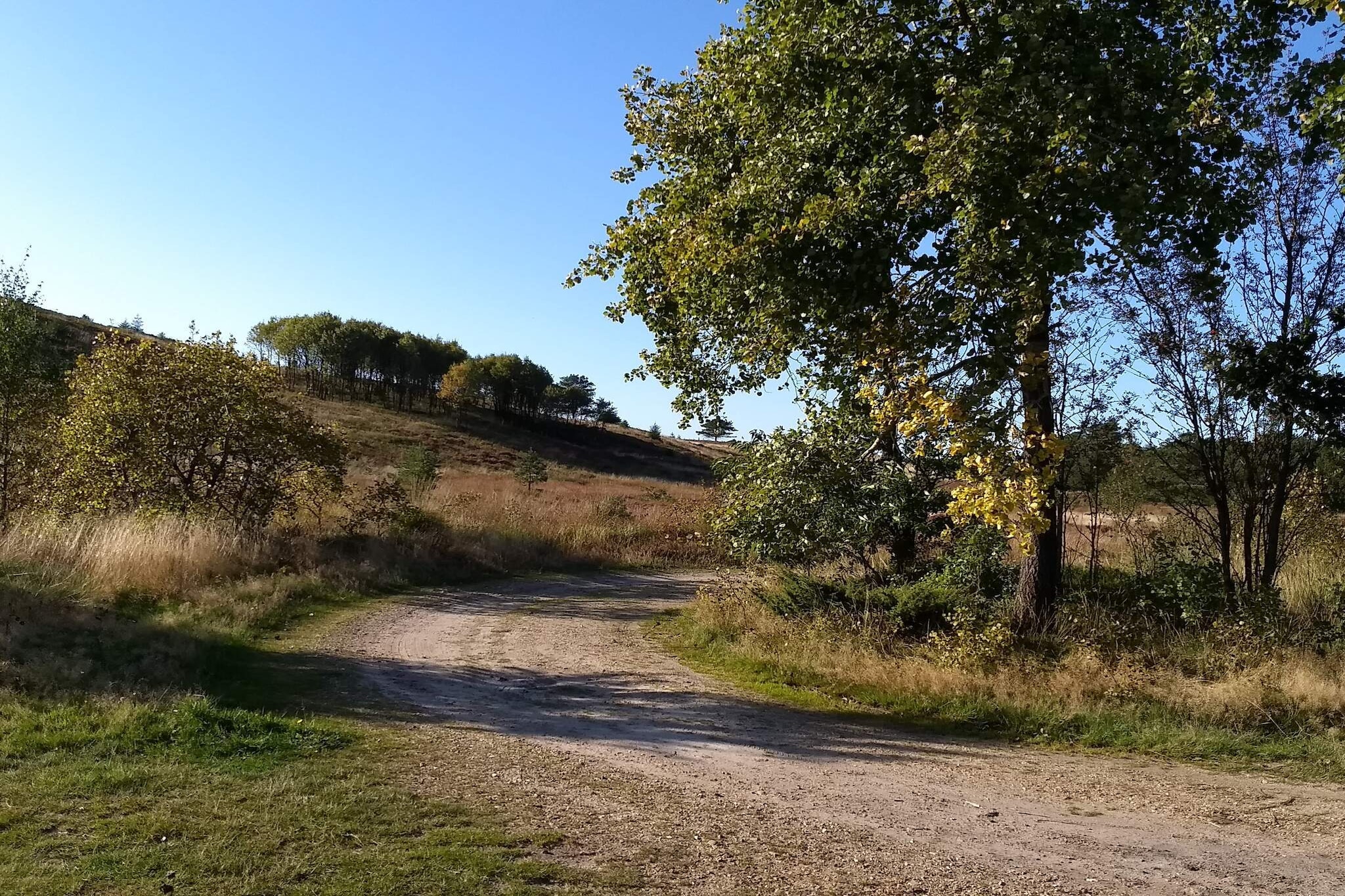 6 person holiday home in Bording-By Traum-Untagged