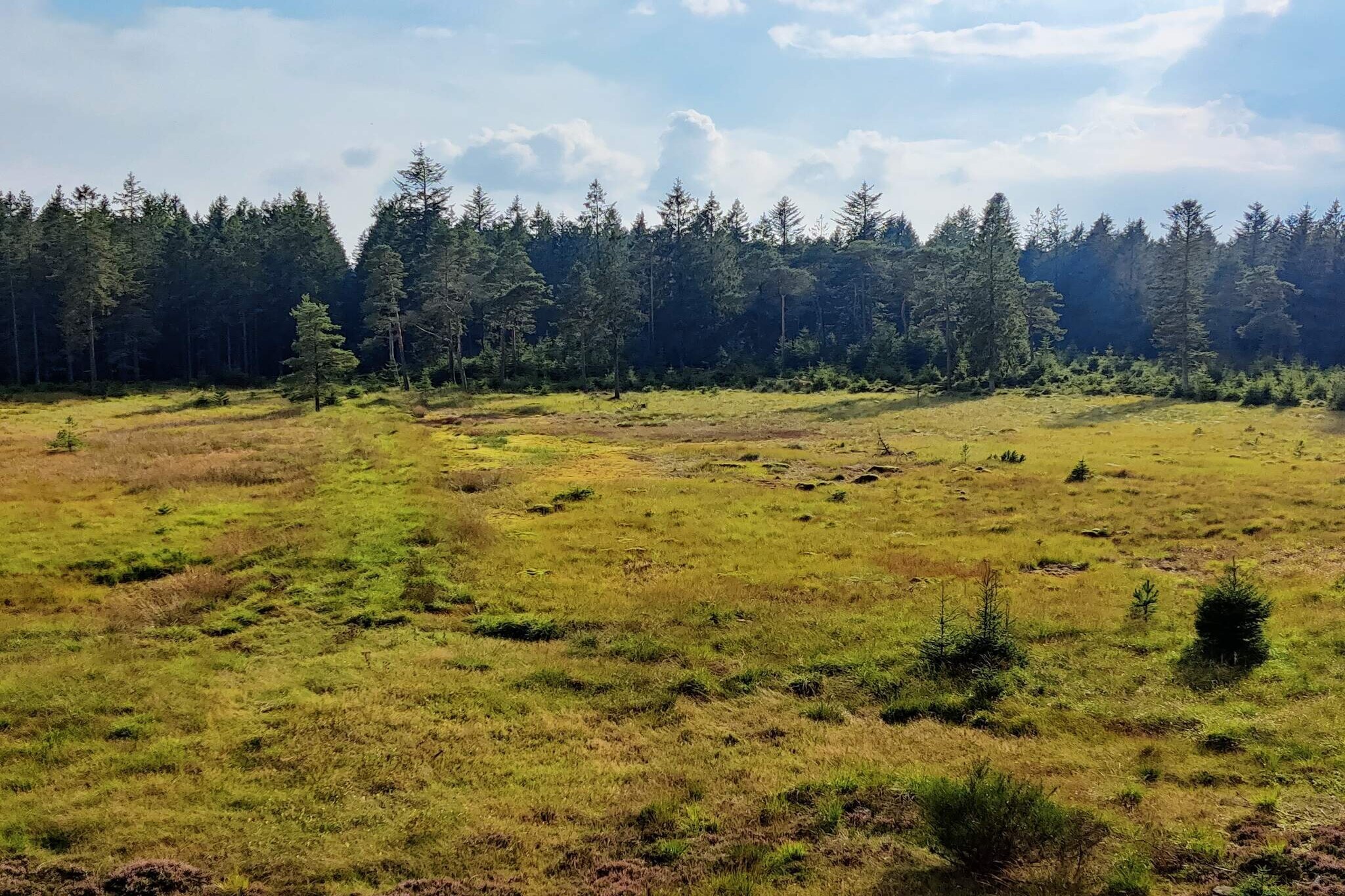 6 person holiday home in Bording-By Traum-Untagged