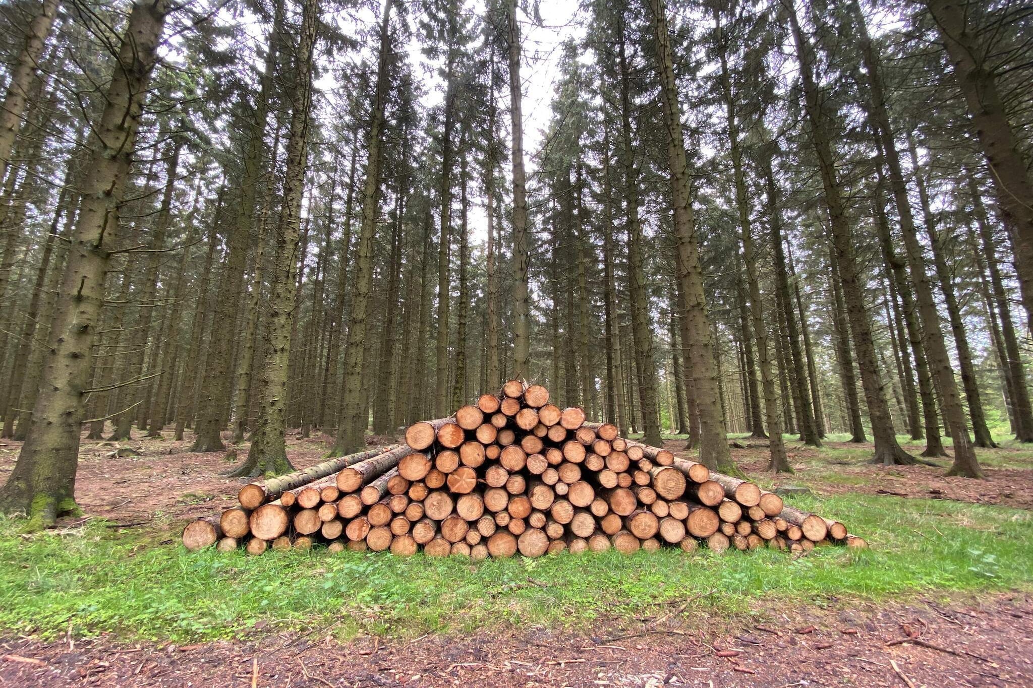4 Personen Ferienhaus in Østervrå-By Traum-Nicht zugeordnet
