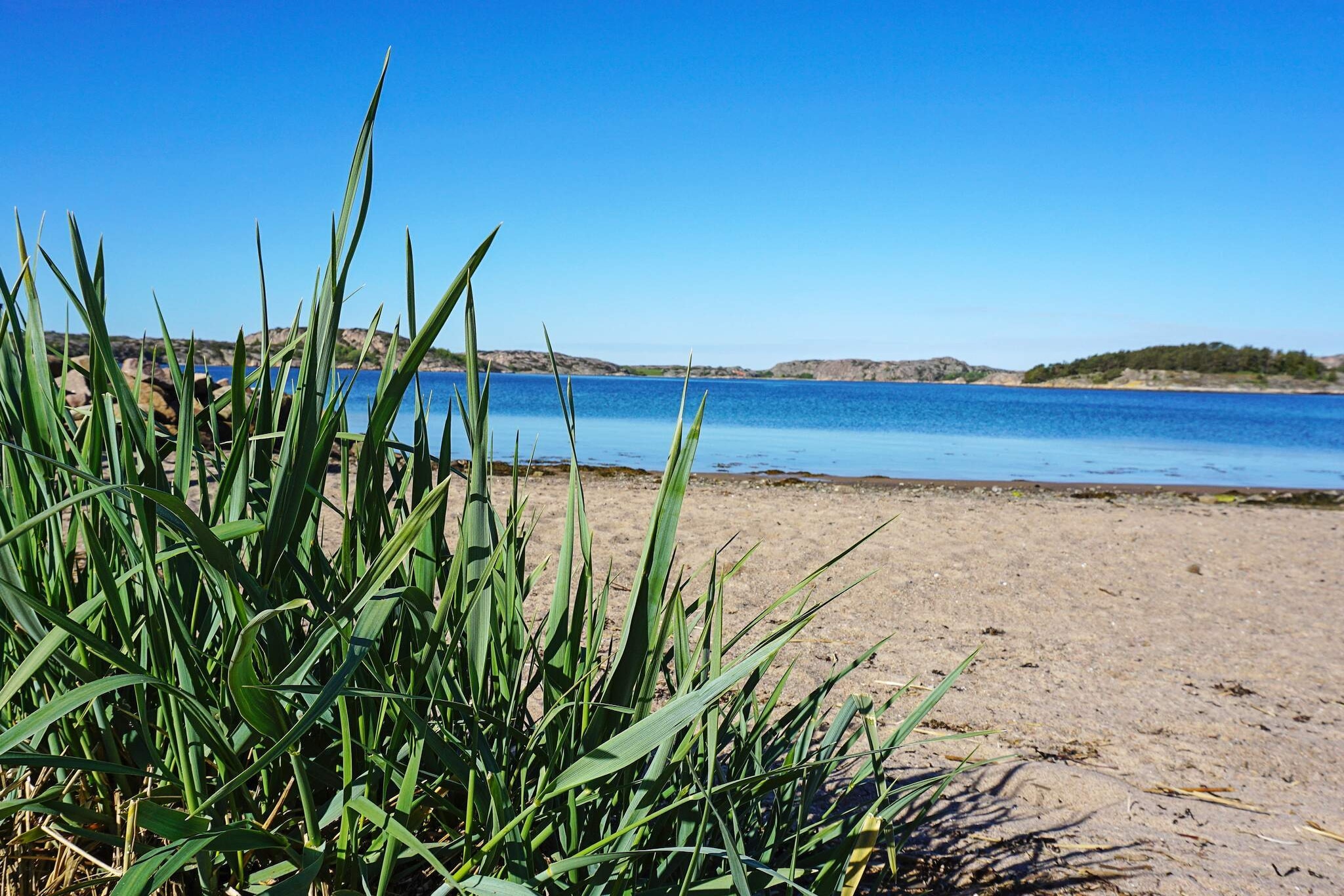 4 persoons vakantie huis in Fjällbacka-By Traum - Niet-getagd
