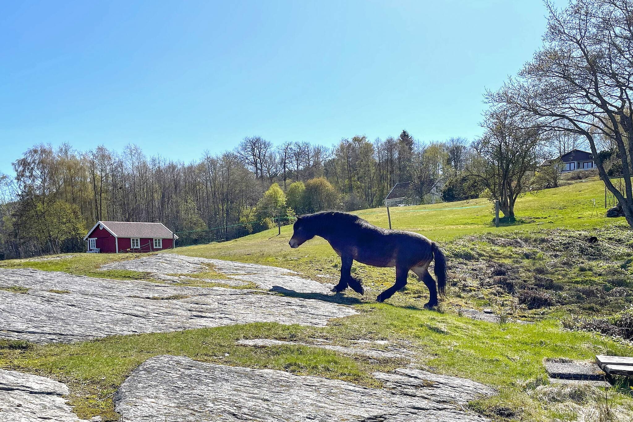 5 Personen Ferienhaus in STILLINGSÖN-By Traum - Nicht zugeordnet