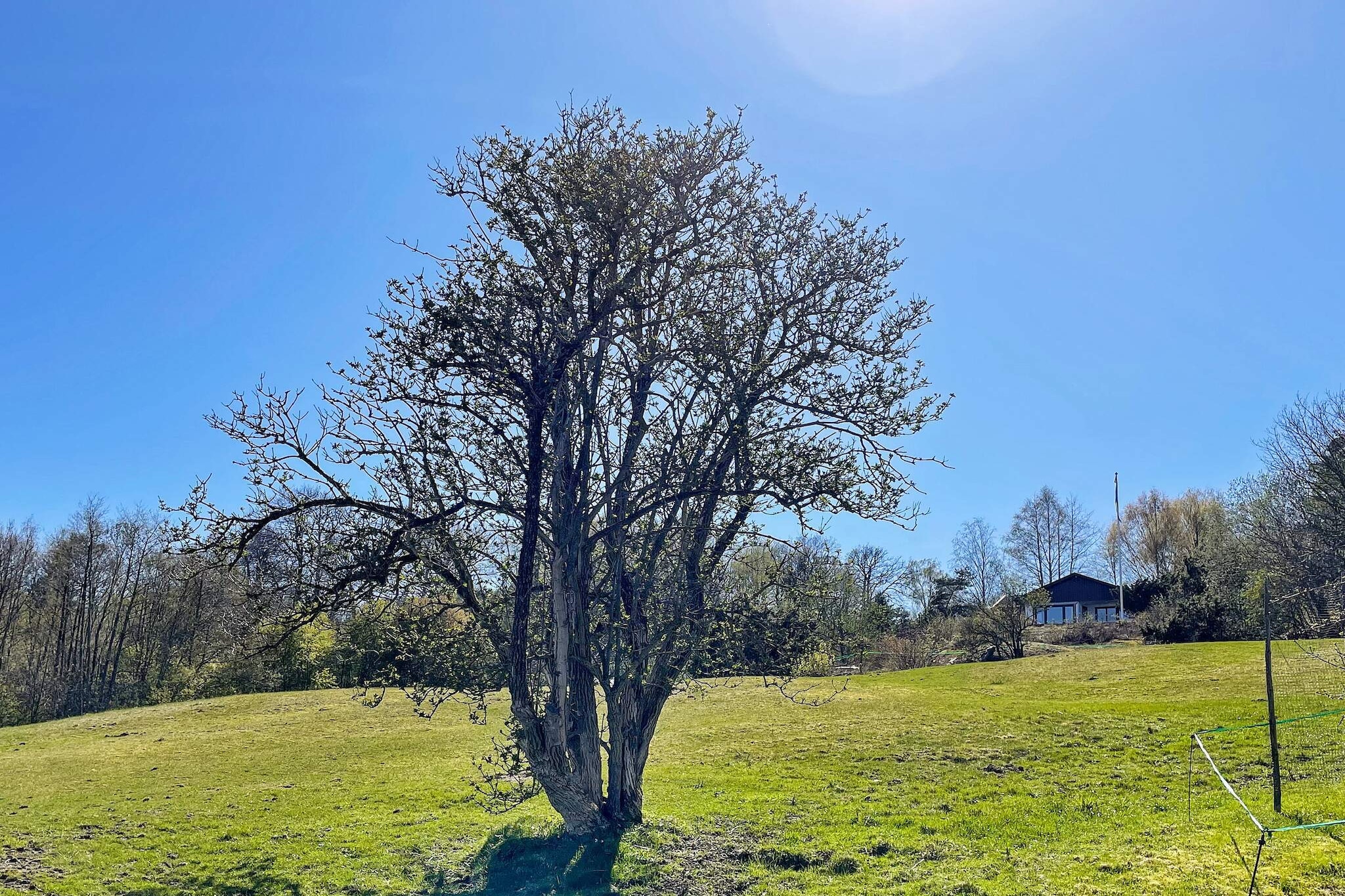 5 Personen Ferienhaus in STILLINGSÖN-By Traum - Nicht zugeordnet