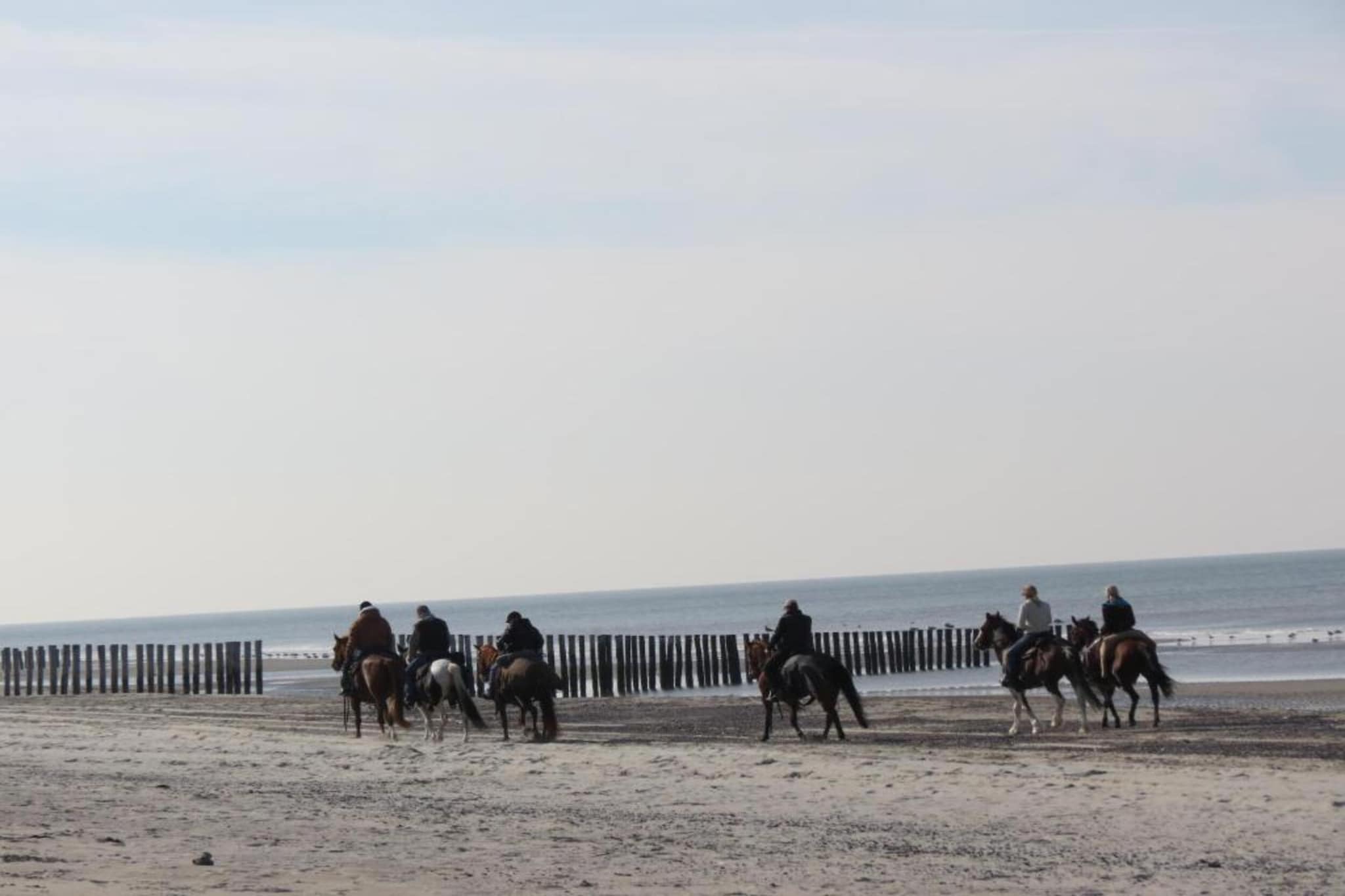 Strandvilla 30-Gebieden zomer 20km