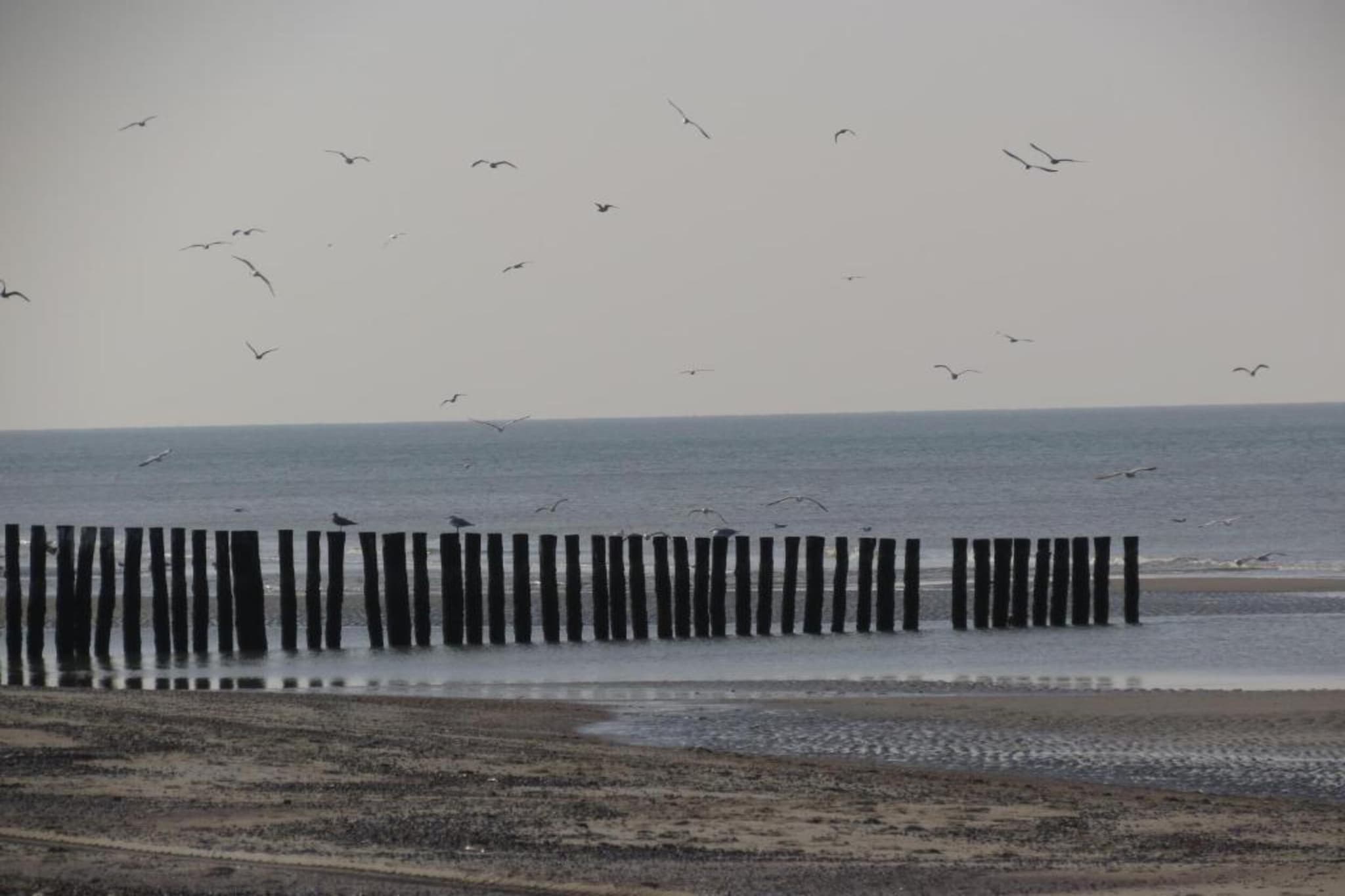 Strandvilla 31-Zones d'été à 20 km